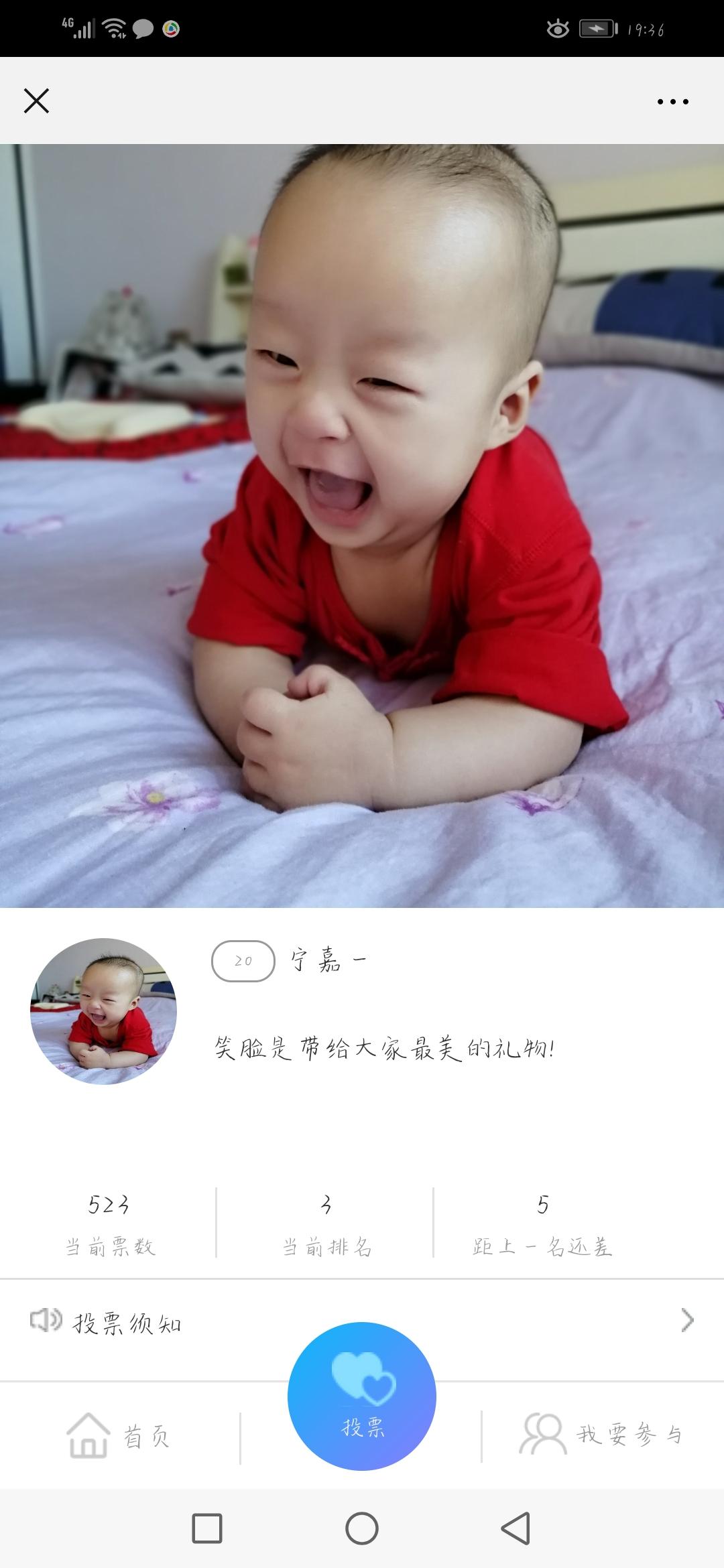 Naive Fox的投票任务 验收样图1