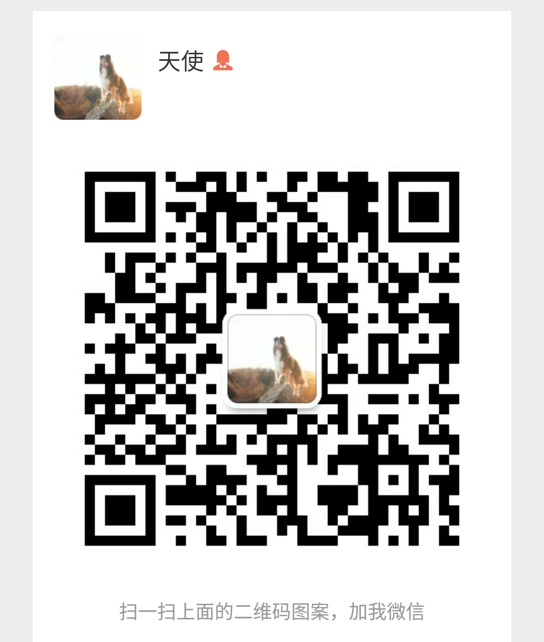天使的自由任务 步骤图1