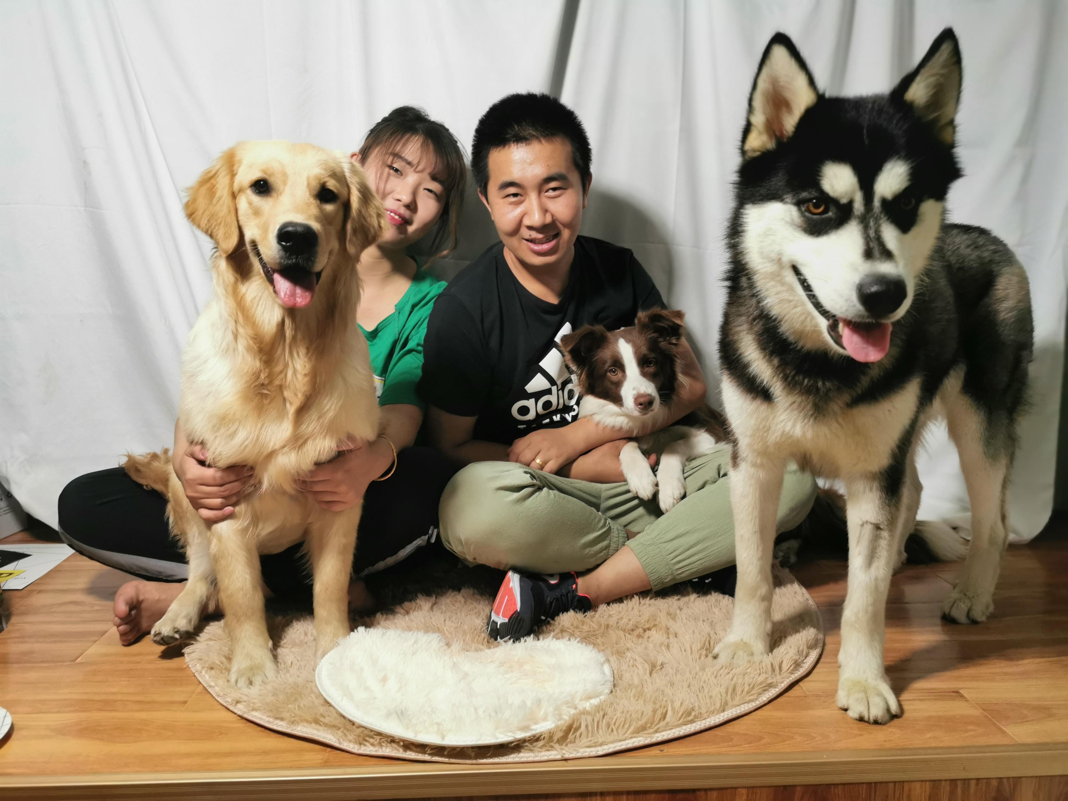 自家宠物用户任务 验收样图1