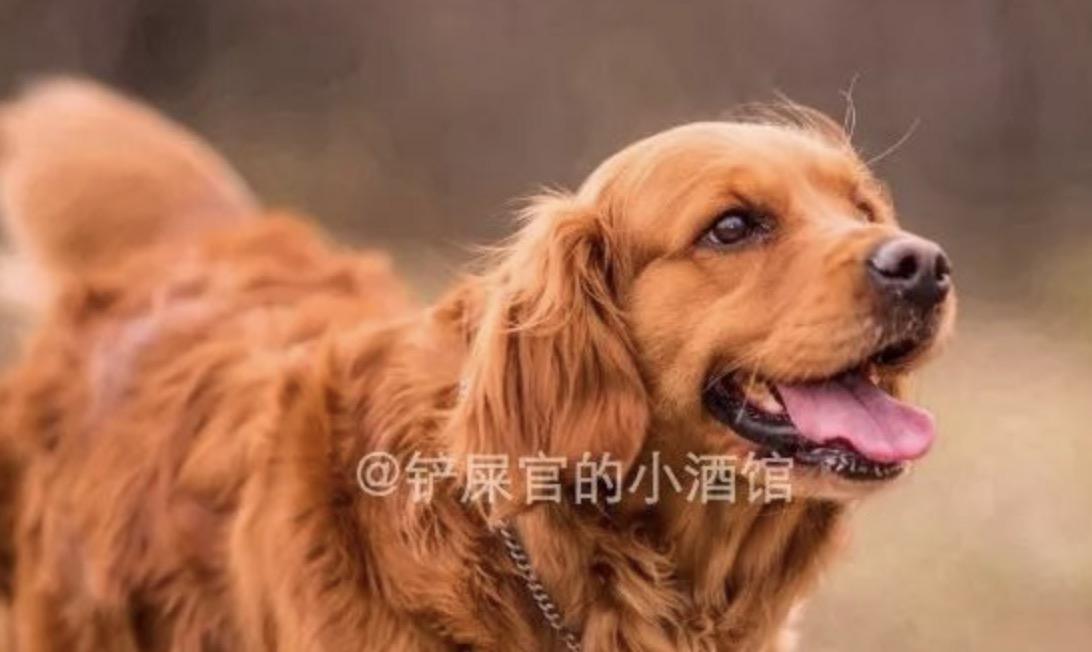 匠心微文|客服的关注任务 验收样图1