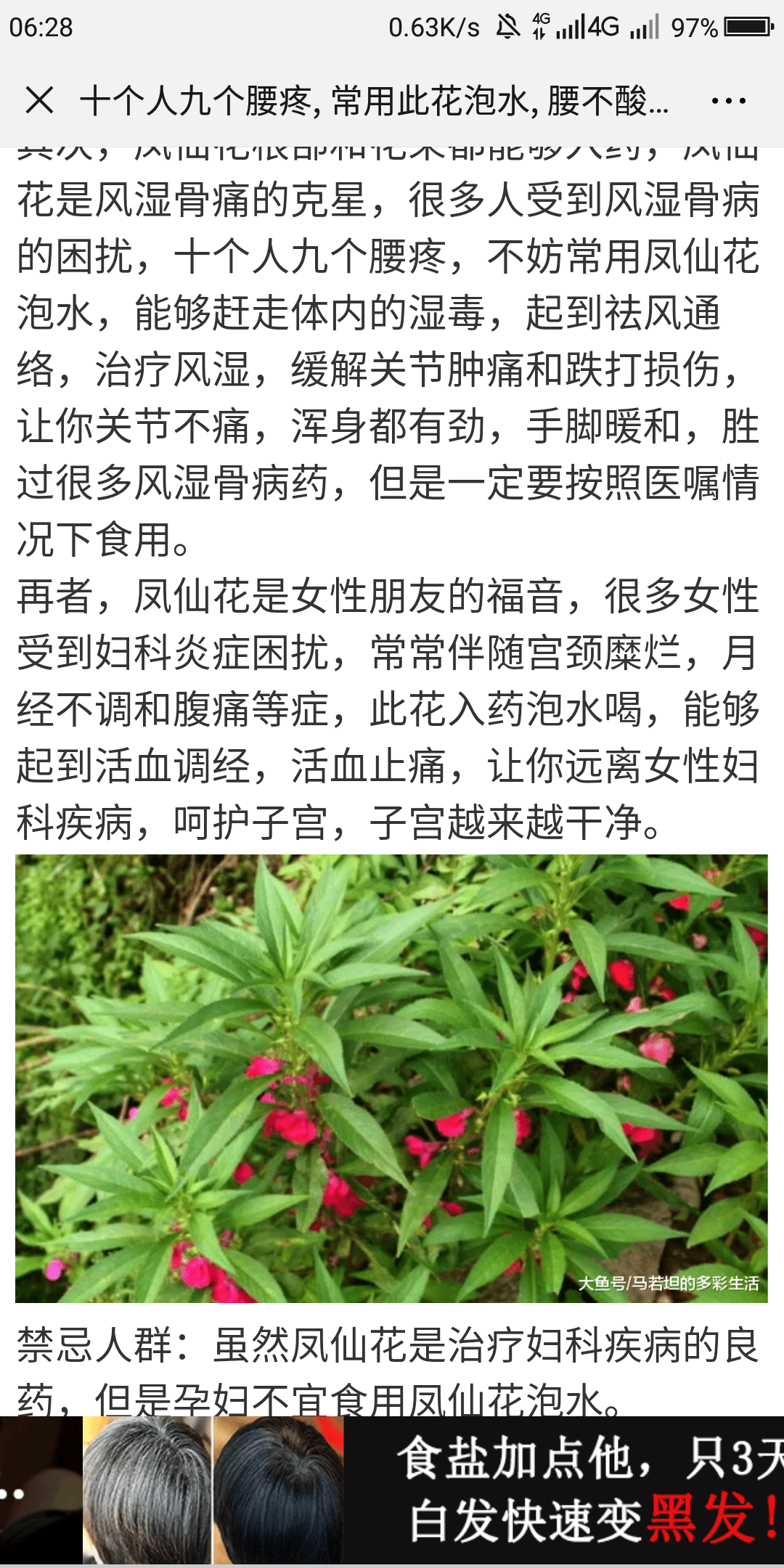 天使的点击任务 验收样图1
