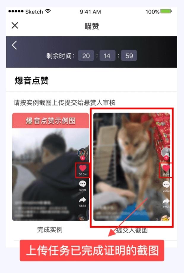 13199887551的点赞任务 验收样图1