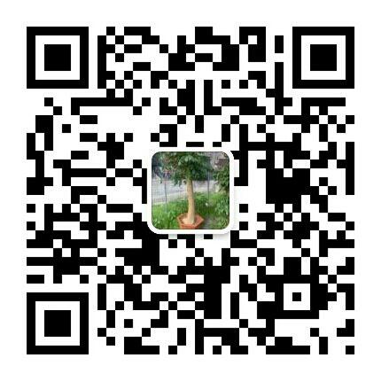 1的关注任务 步骤图1