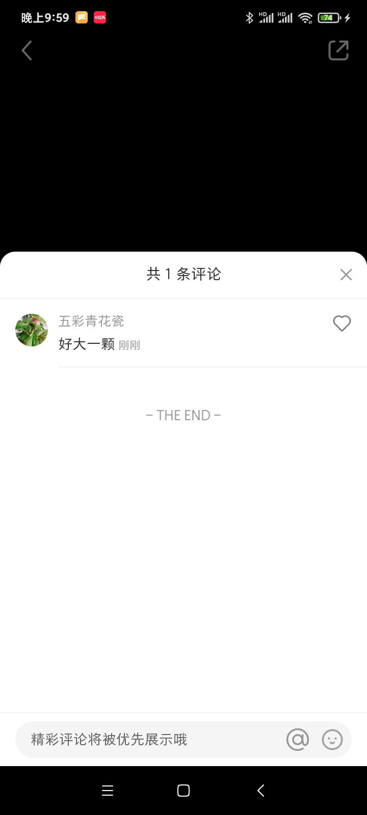 搜索 点赞/收藏 评论 小红书 ZXL的任务 验收样图2