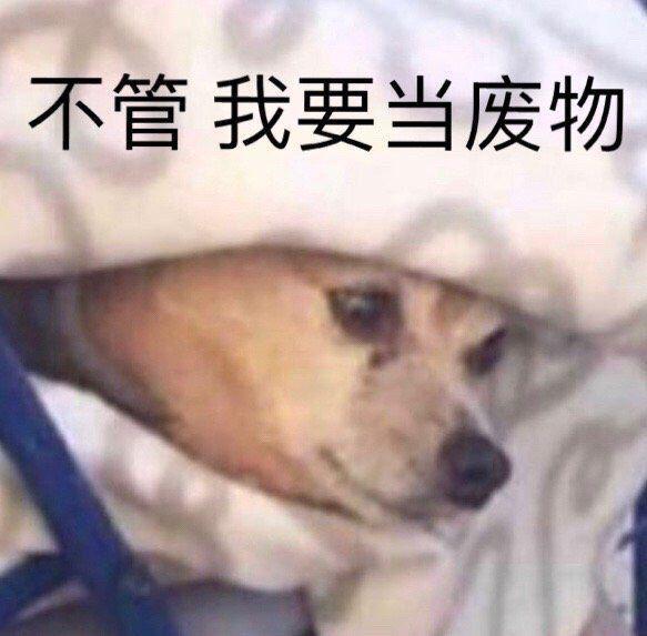微视助力 验收样图1
