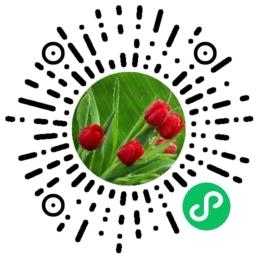 关注后点广告 八二年的%的任务 步骤图1