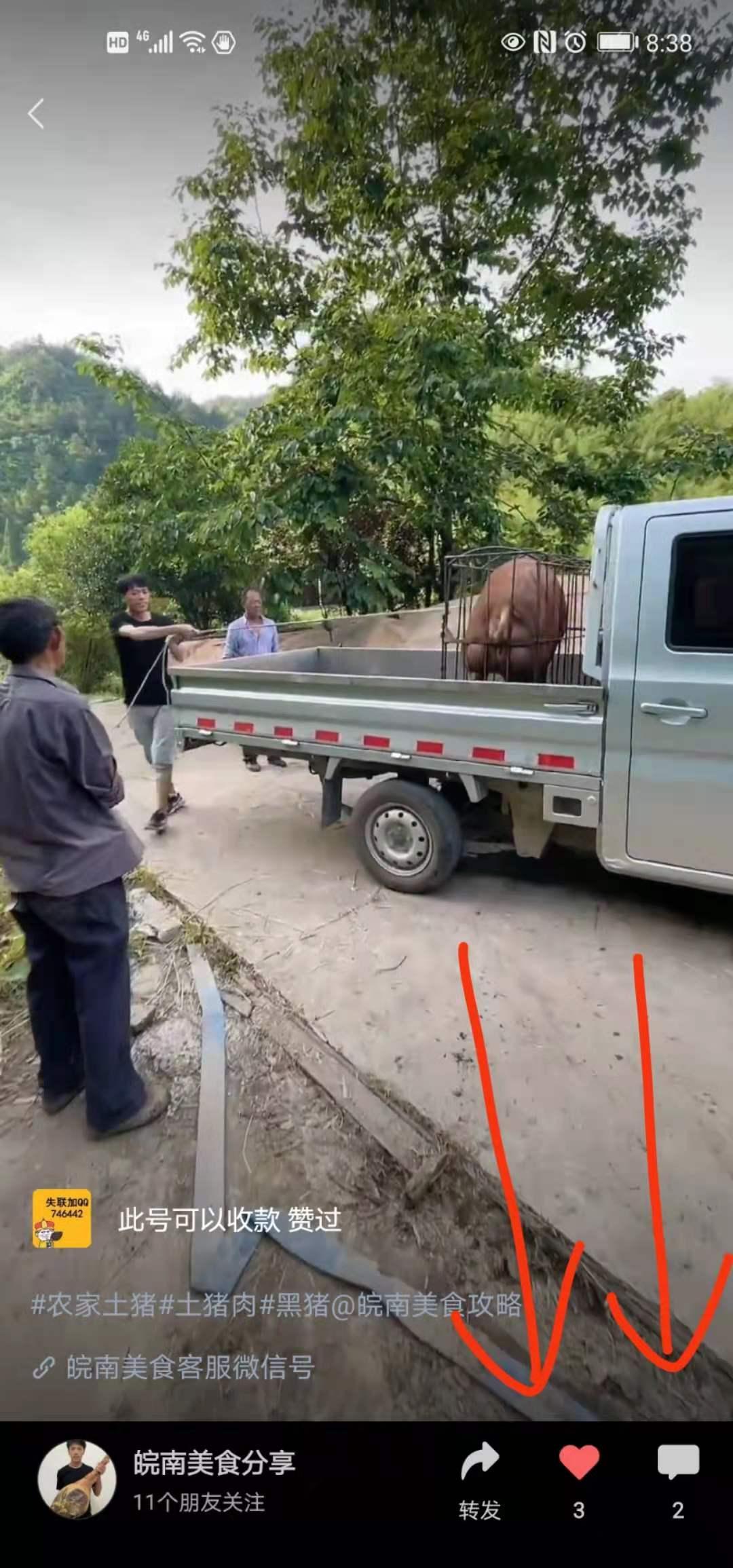 评论 谋略的任务 步骤图3