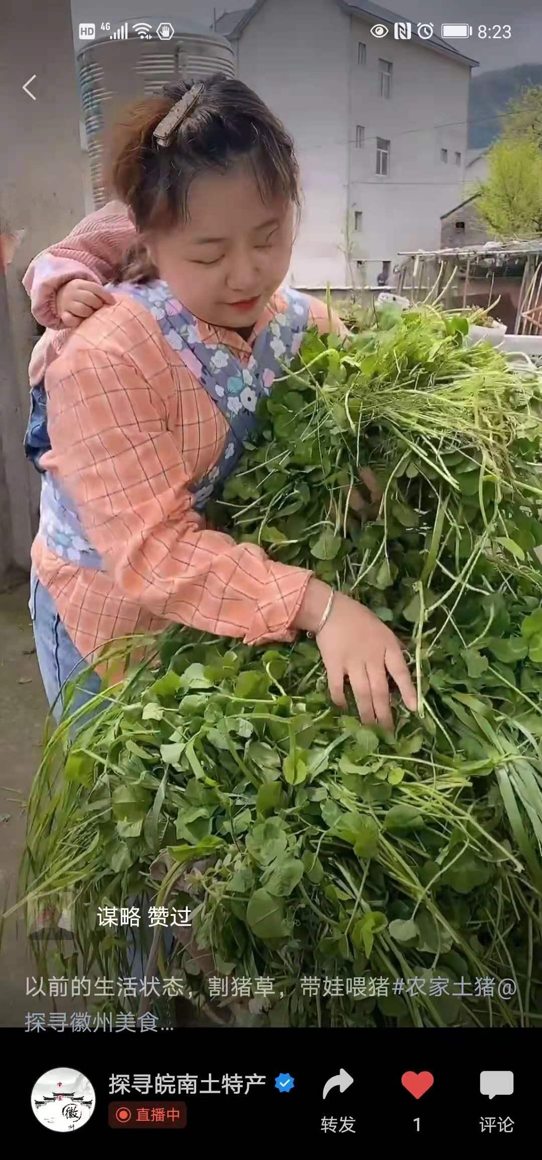 搜索 评论 谋略的任务 步骤图2