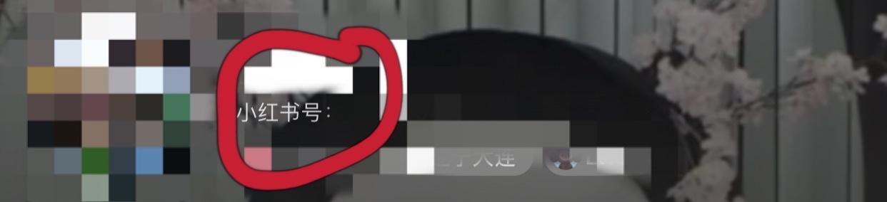搜索 点赞/收藏 小红书 小红书快任务 验收样图1