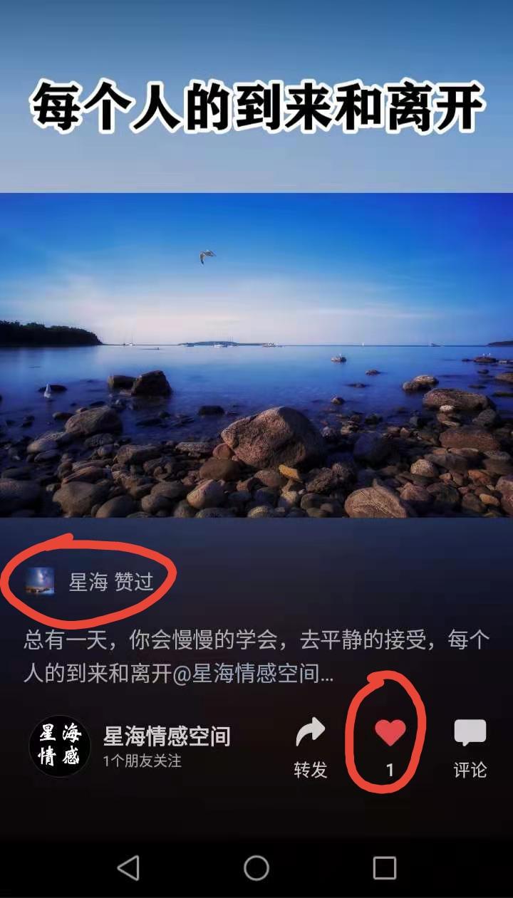 待分类 视频号点赞任务 验收样图2