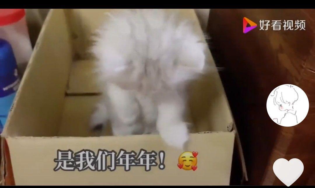 抖音点击任务 步骤图1