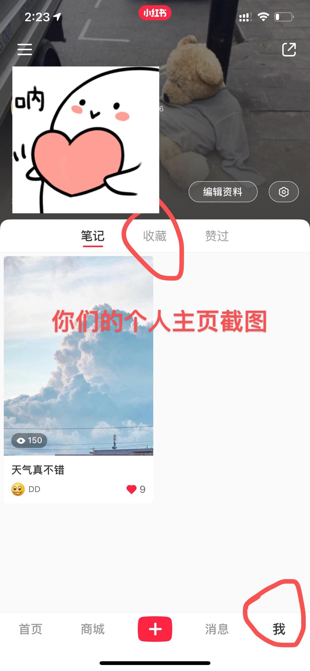点赞/收藏 关注 小红书 手机用户130****1804的任务 验收样图1