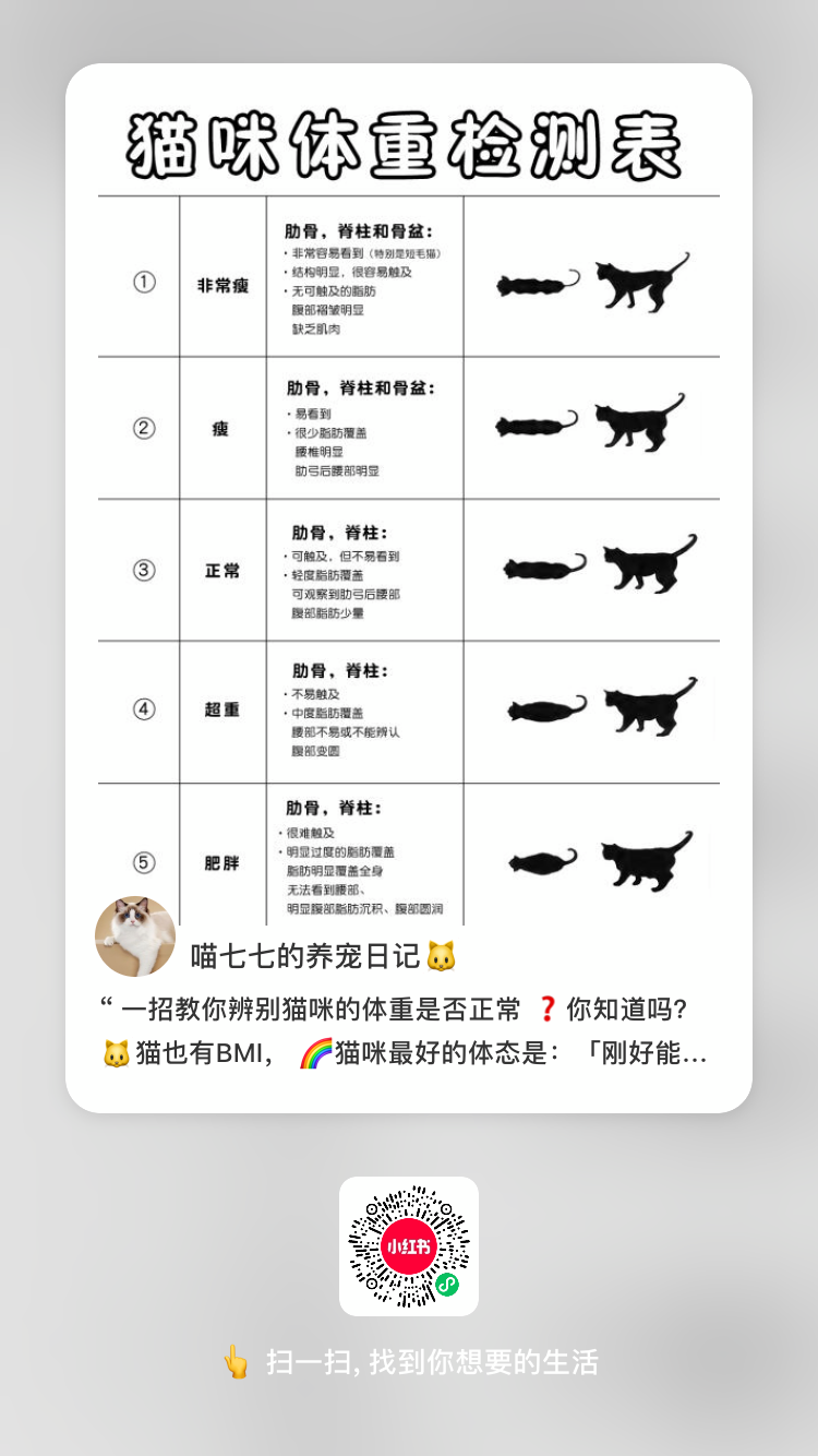 关注 小红书 手机用户150****4995的任务 步骤图1