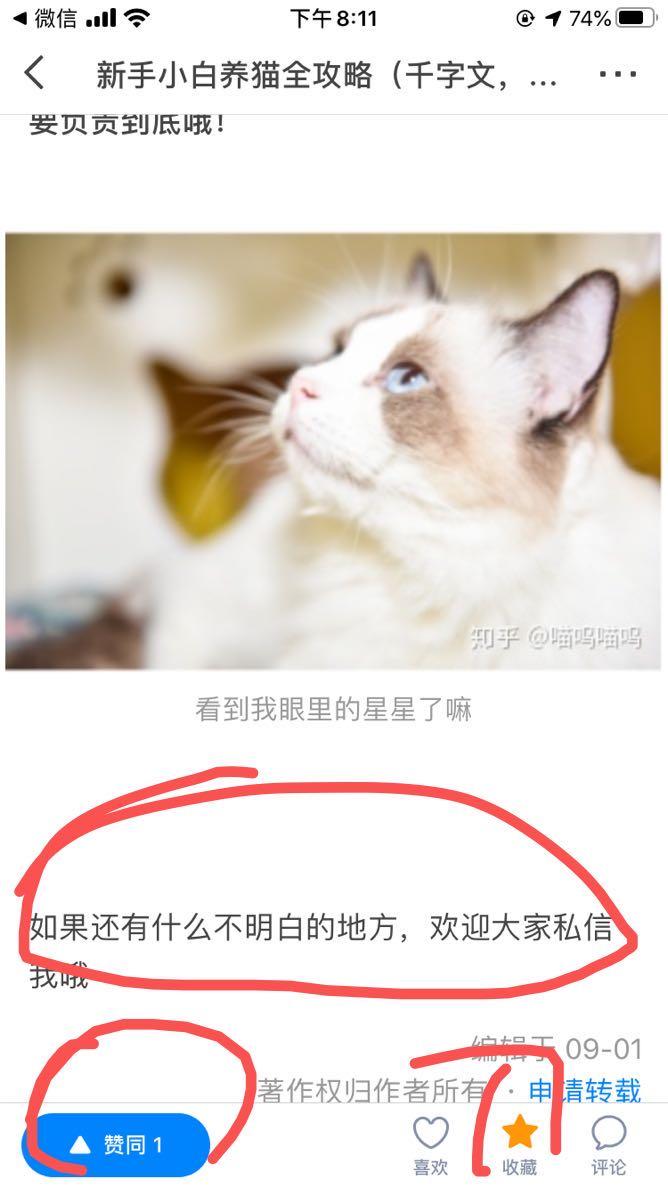 其他 知乎 2知乎文章 收藏+赞同 步骤图2