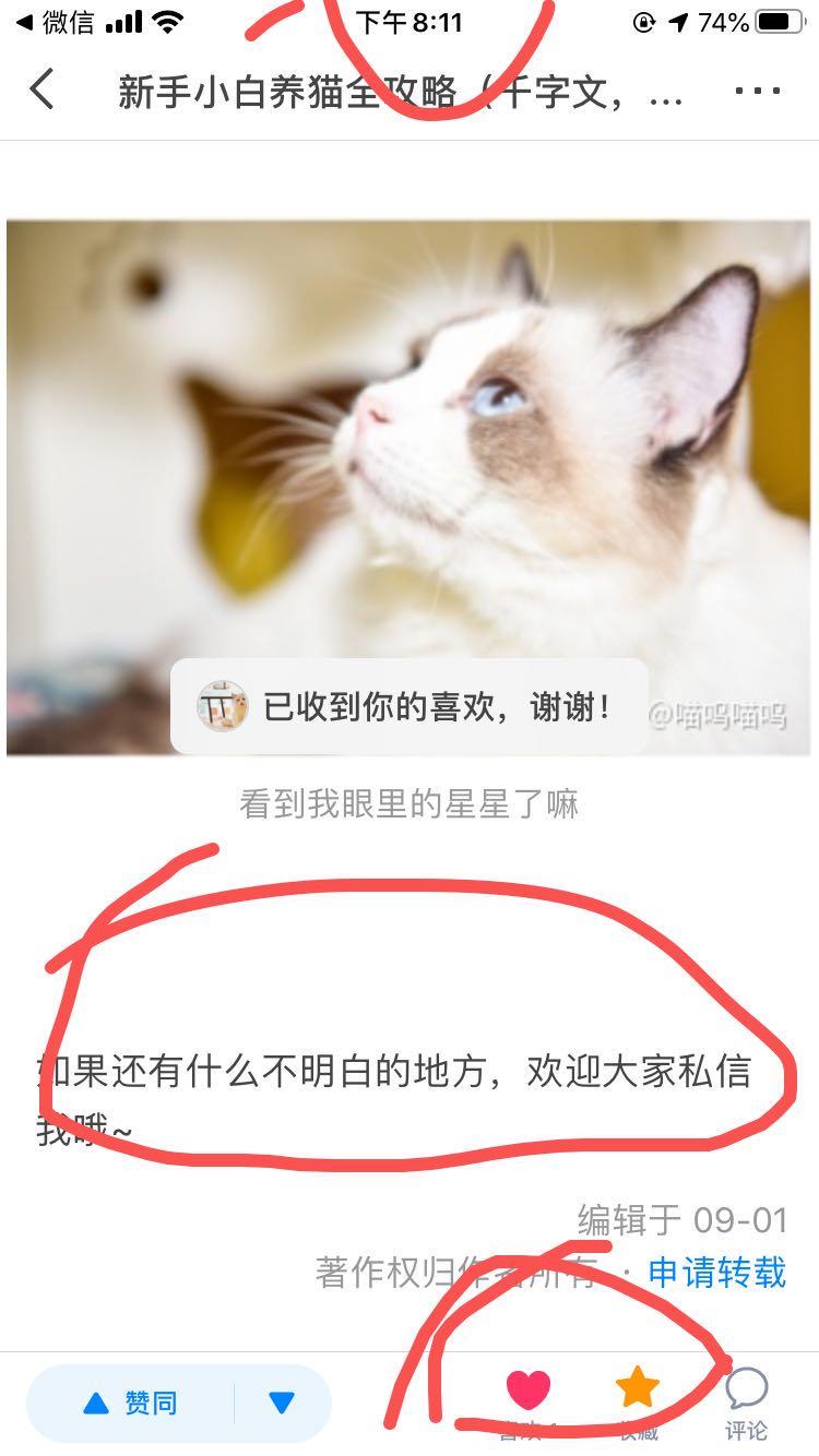 点赞/收藏 其他 知乎 2知乎文章 关注+收藏+喜欢 步骤图2