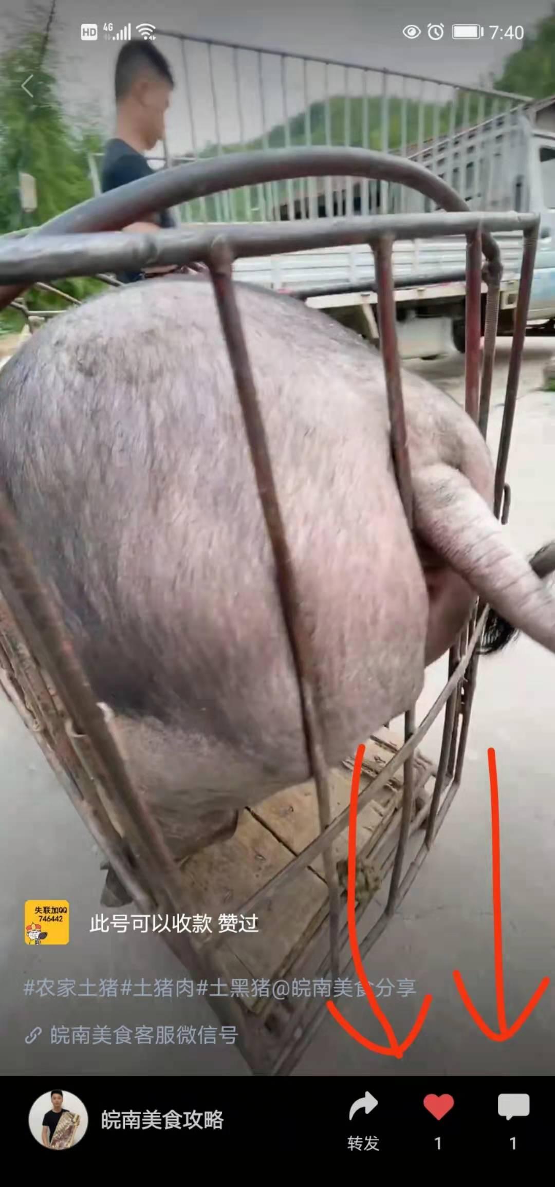 点赞/收藏 谋略的任务 步骤图4