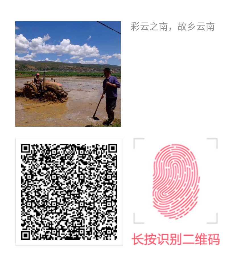 H  U M的投票任务 步骤图1