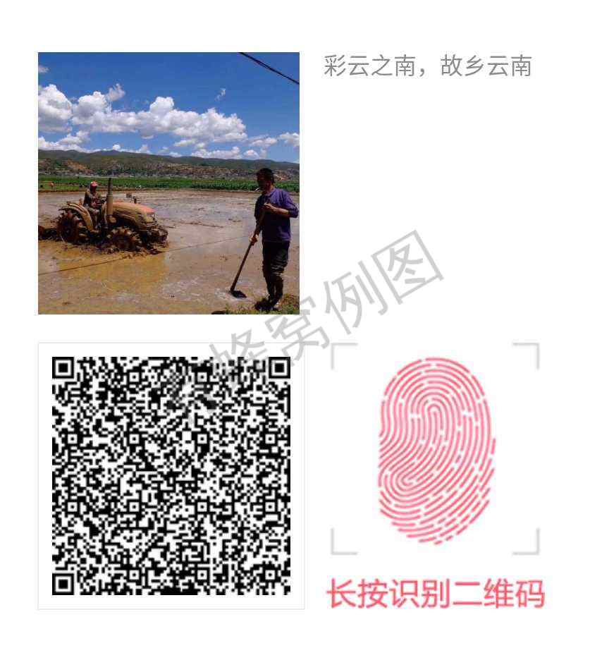 H U M的投票任务 步骤图1