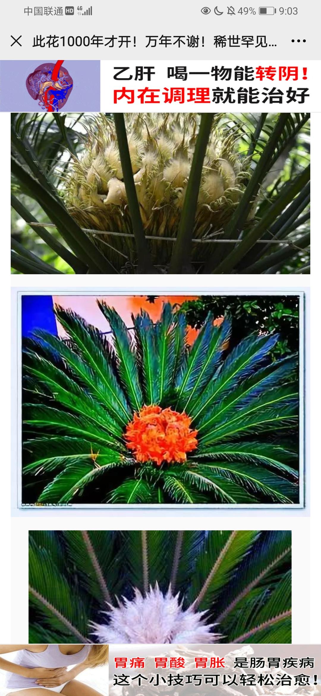 阅读 简单阅读，秒过 步骤图1