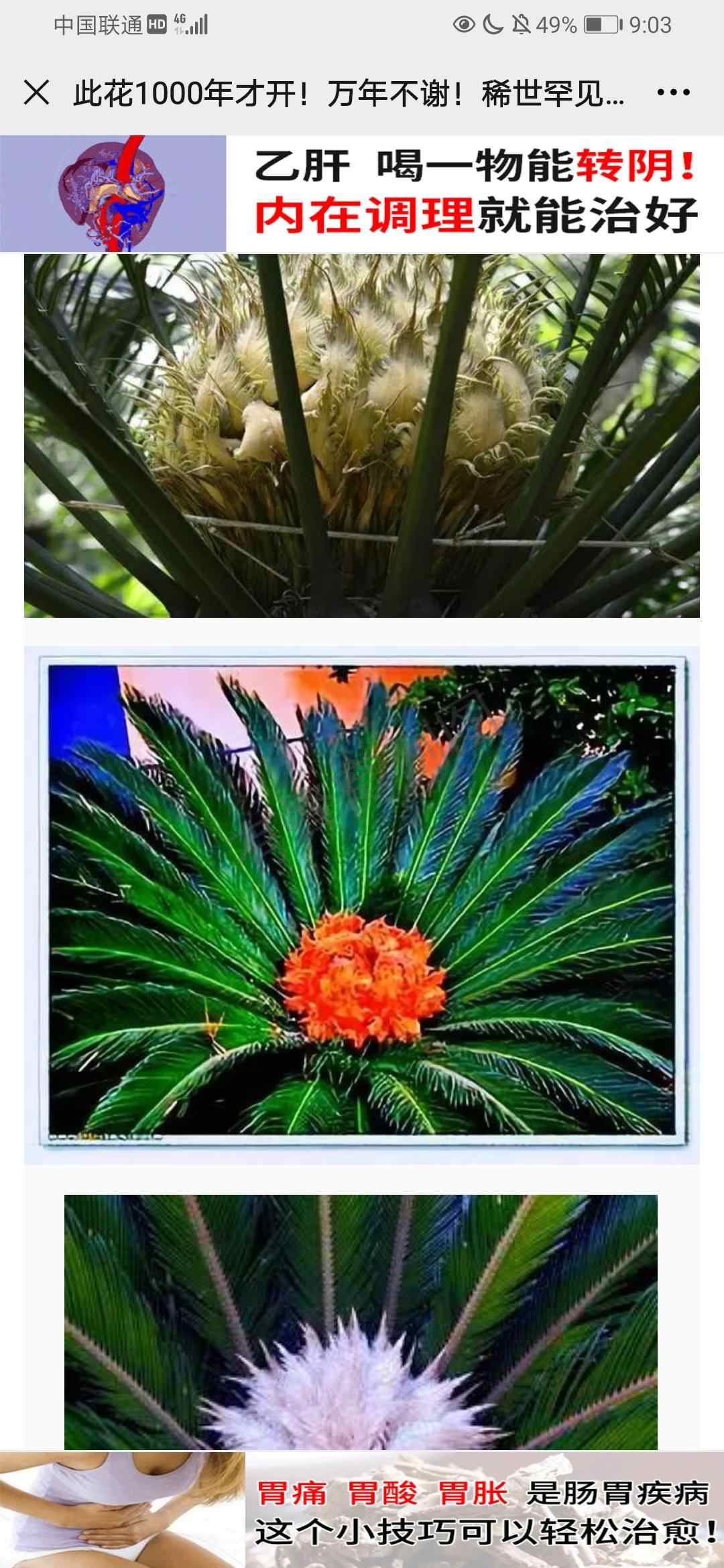 阅读 简单阅读,秒过 步骤图1