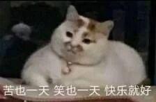 手机用户155****0767的自由任务 验收样图1