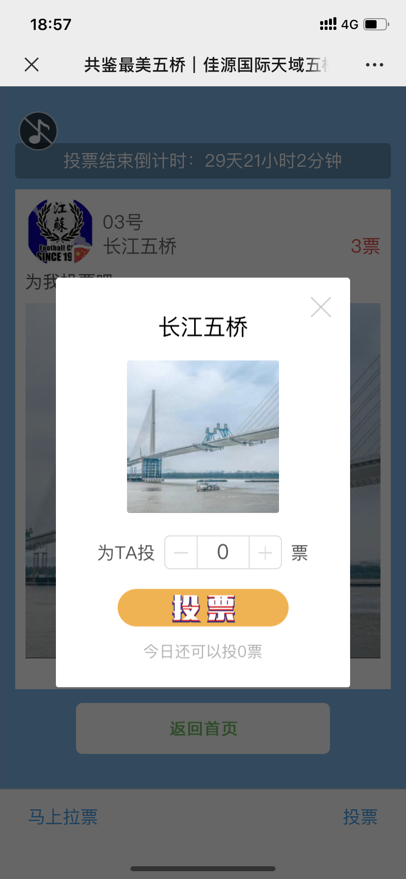 蓝天的投票任务 验收样图1