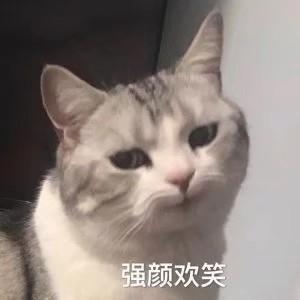 愤世妒俗  .的点击任务 验收样图1