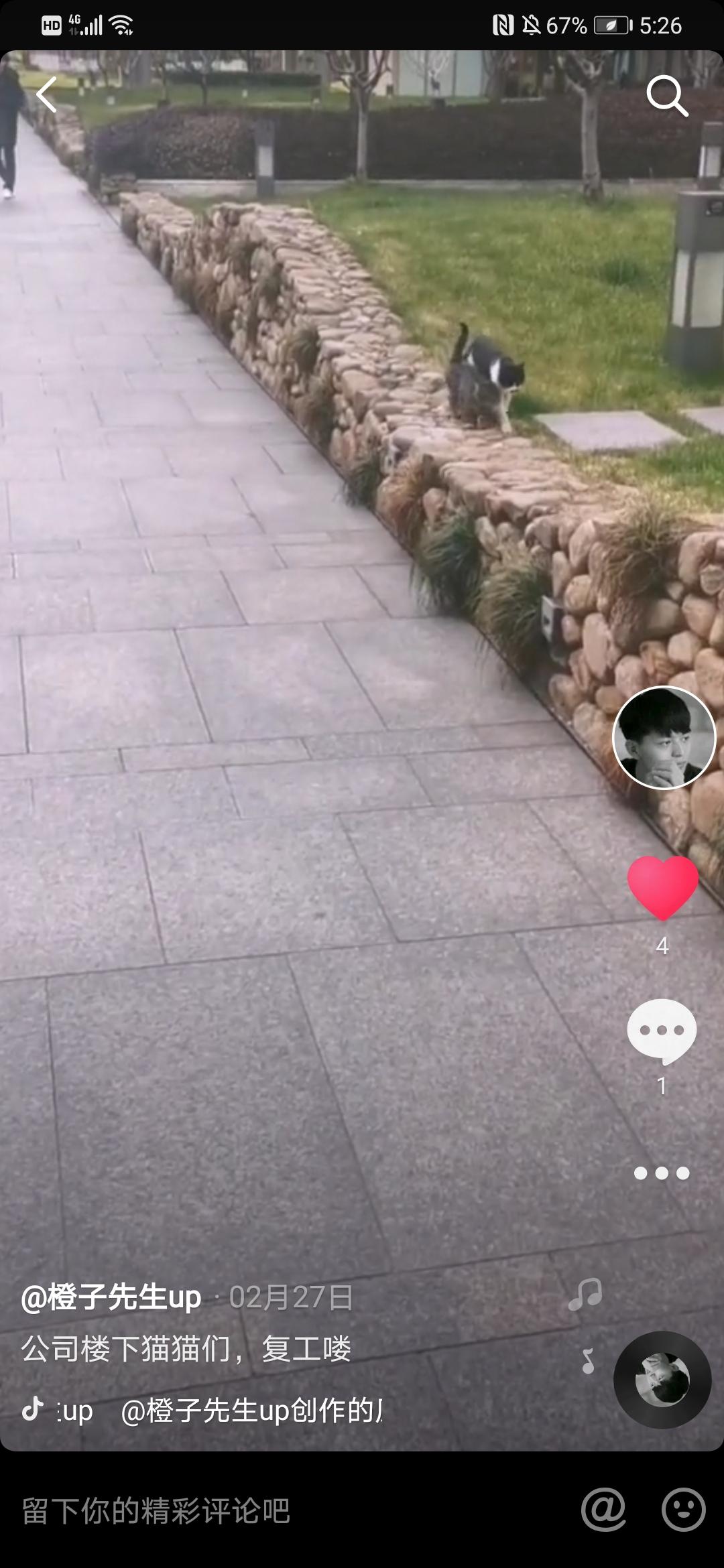 关注 搜索 抖音 抖音点赞关注十秒完成 验收样图1