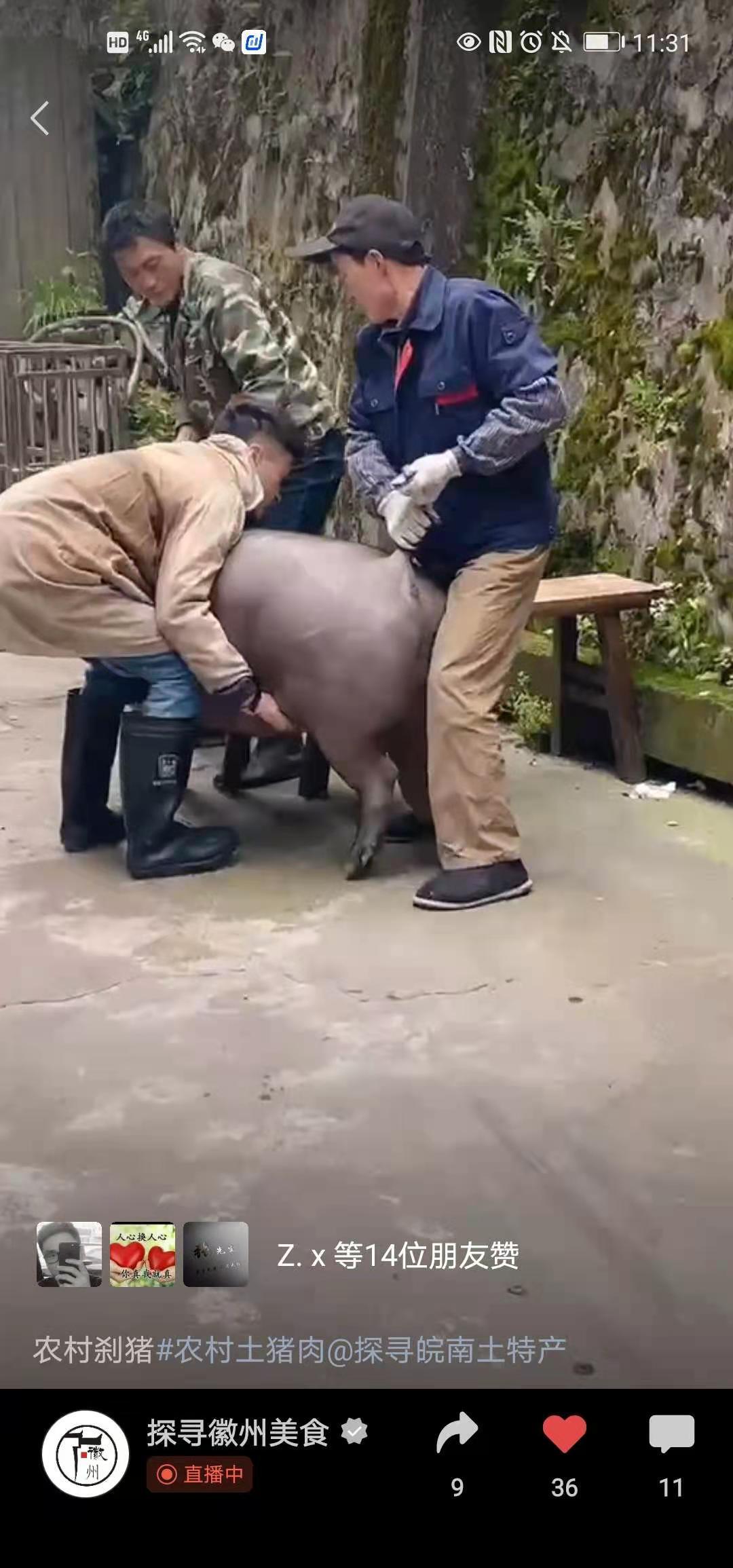 搜索 评论 谋略的任务 步骤图1