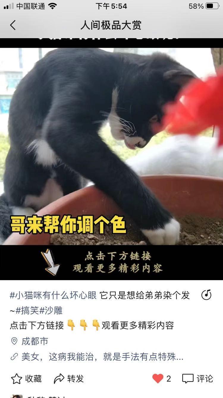 点赞/收藏 微信授权 手机用户198****2156的任务 验收样图1