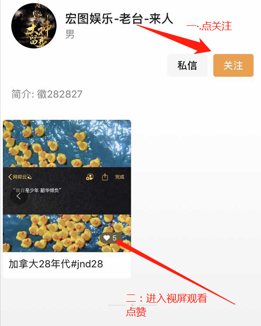 关注 点赞/收藏 笑仔的任务 步骤图2