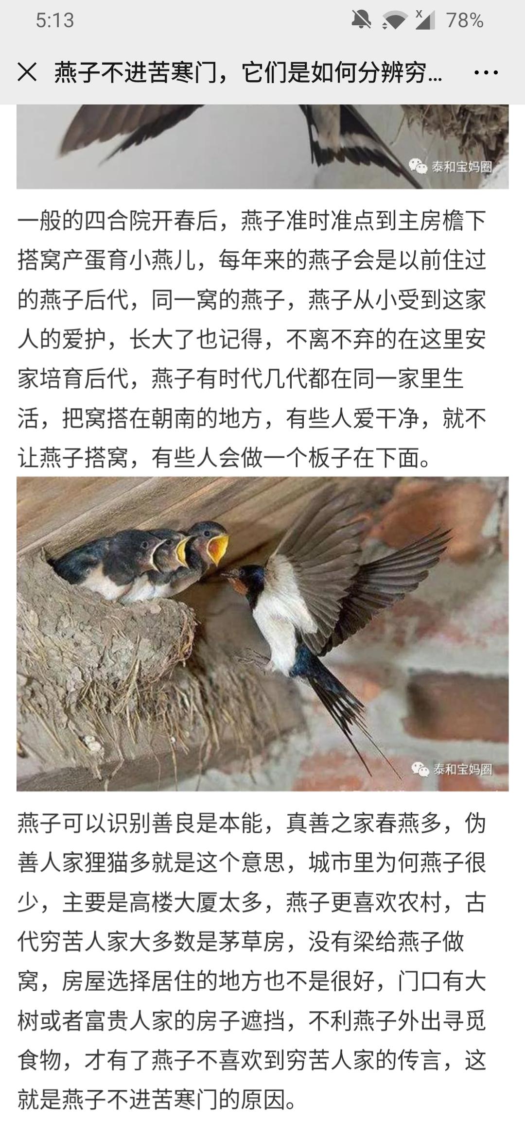 简单阅读二十秒秒审 验收样图1