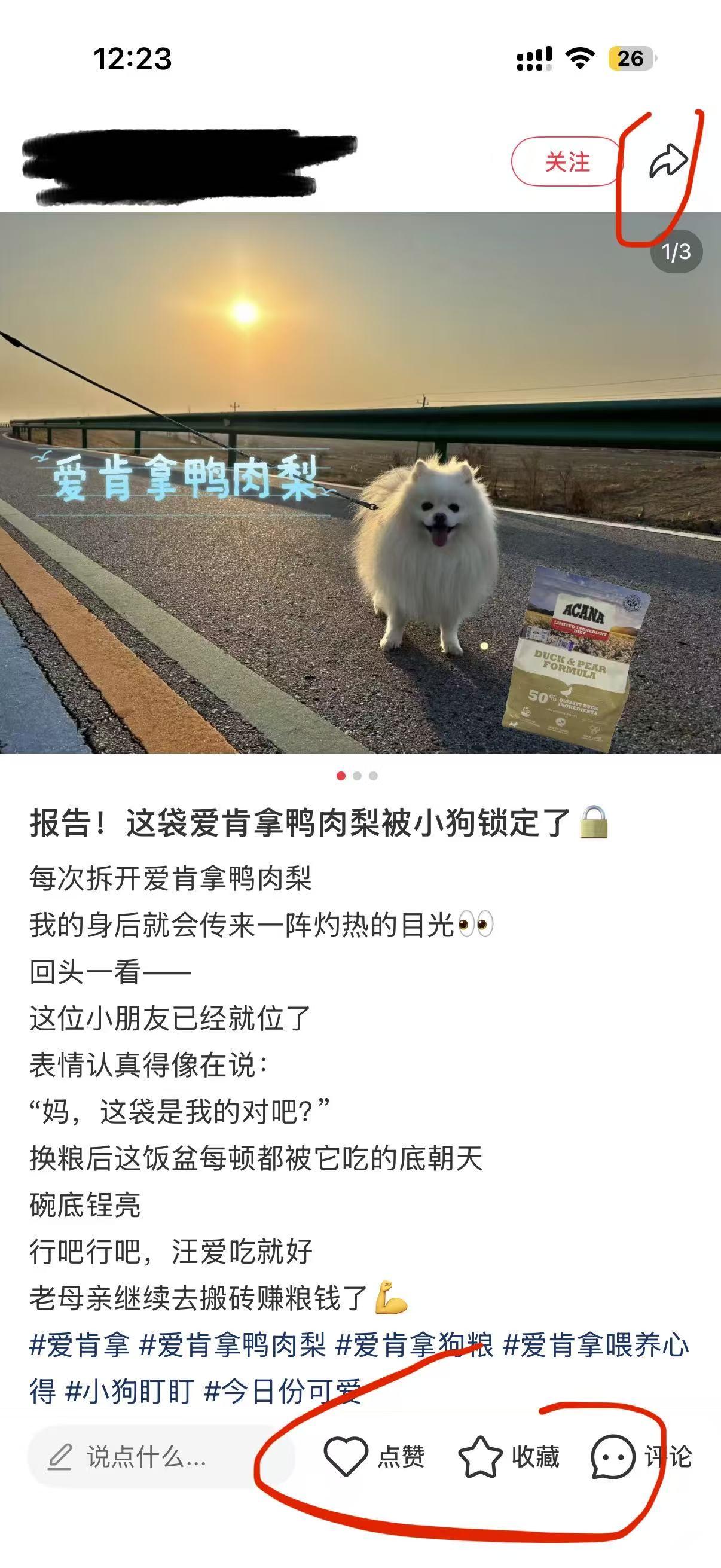 小红书 微信 搜索 点击 点赞 收藏 评论 朋友圈 爱肯拿---6.18----4 验收样图2