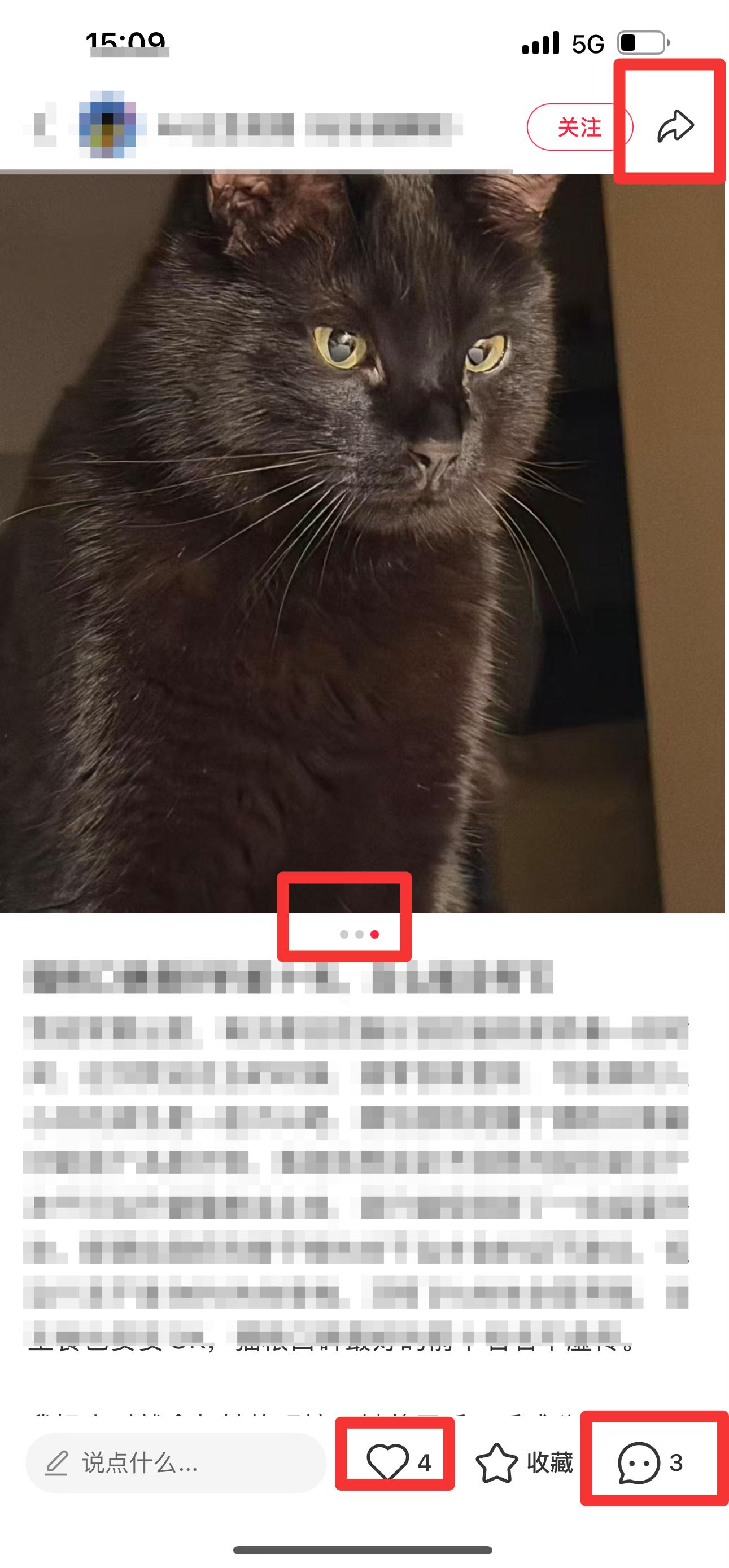 小红书 搜索 弗 猫粮口碑最好的前十名4 步骤图2