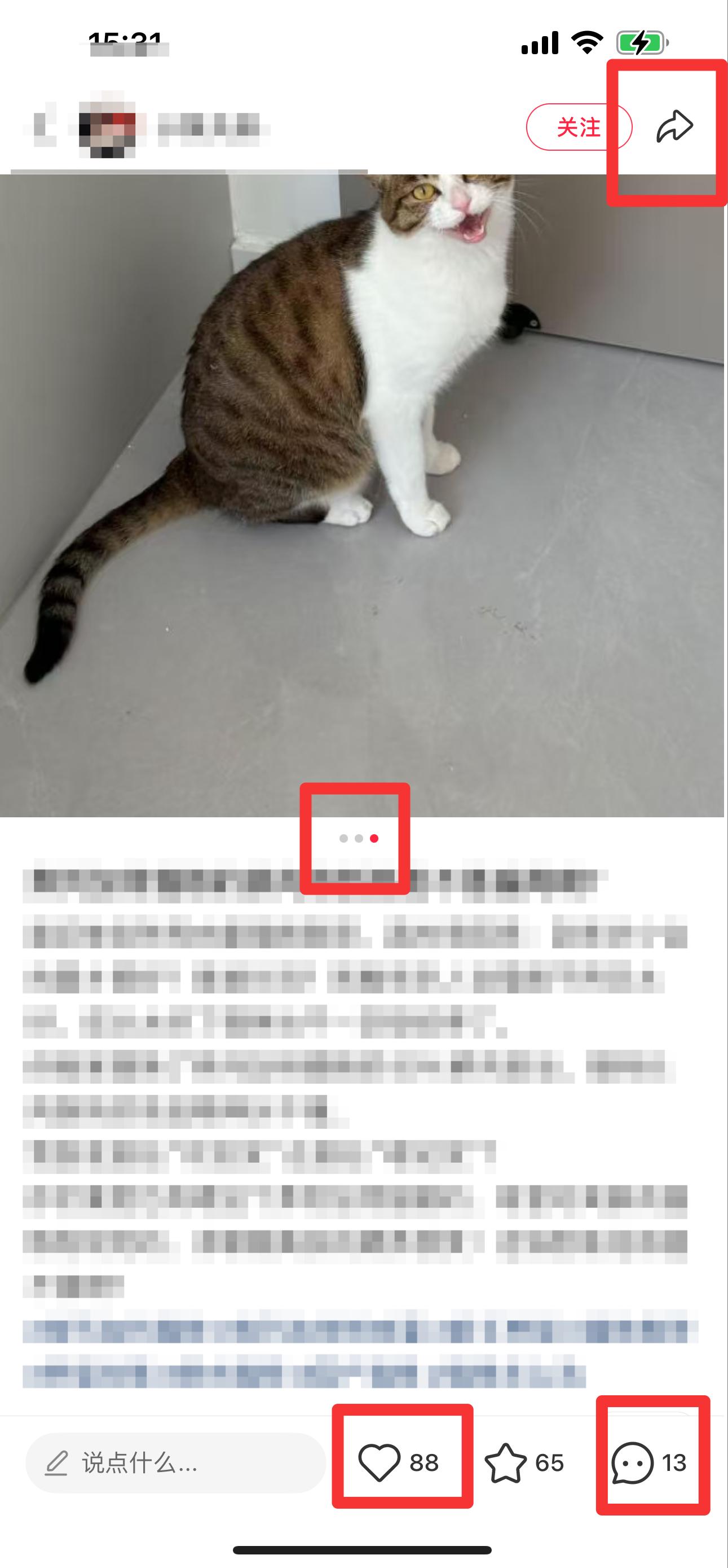 小红书 搜索 弗  弗列加特猫粮2 步骤图2
