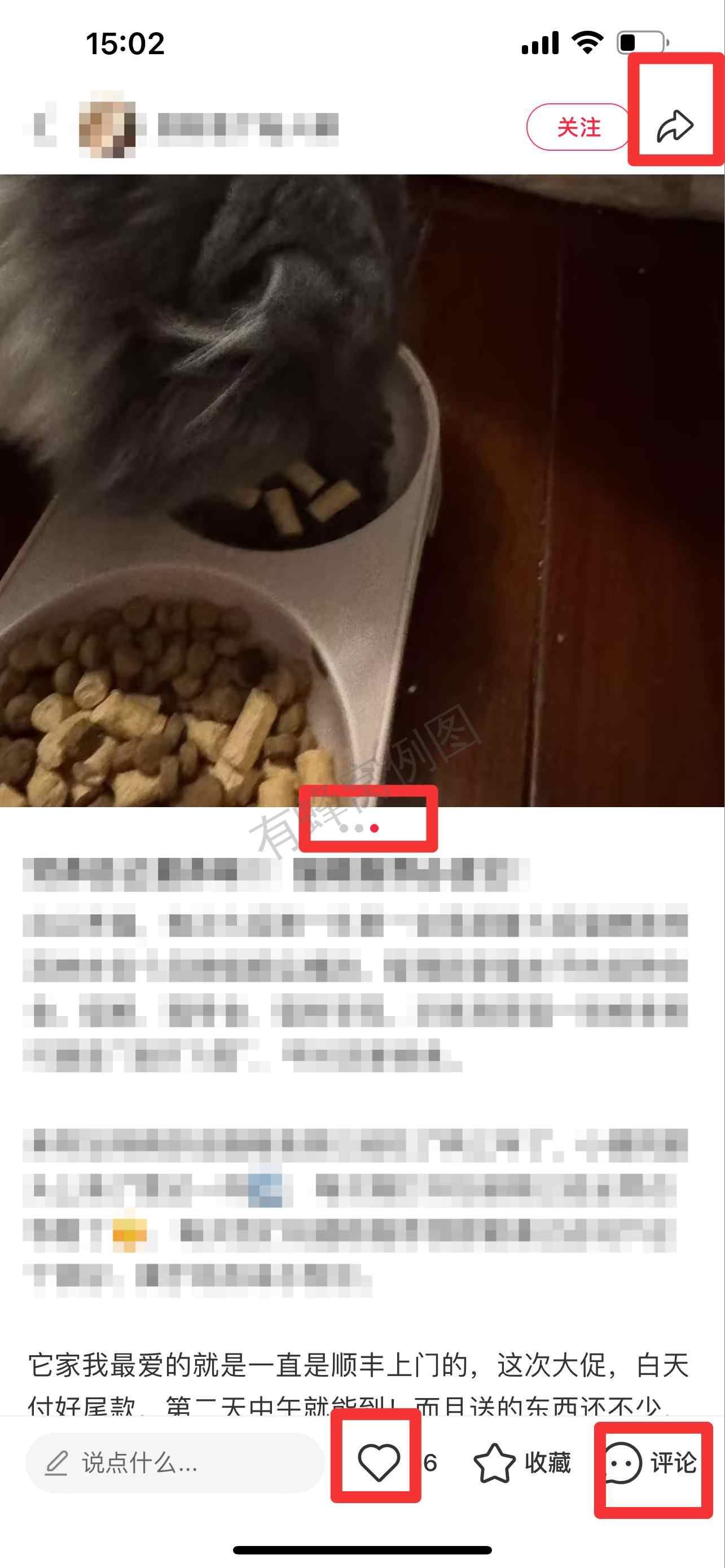 小红书 搜索 弗 弗列加特3 步骤图2