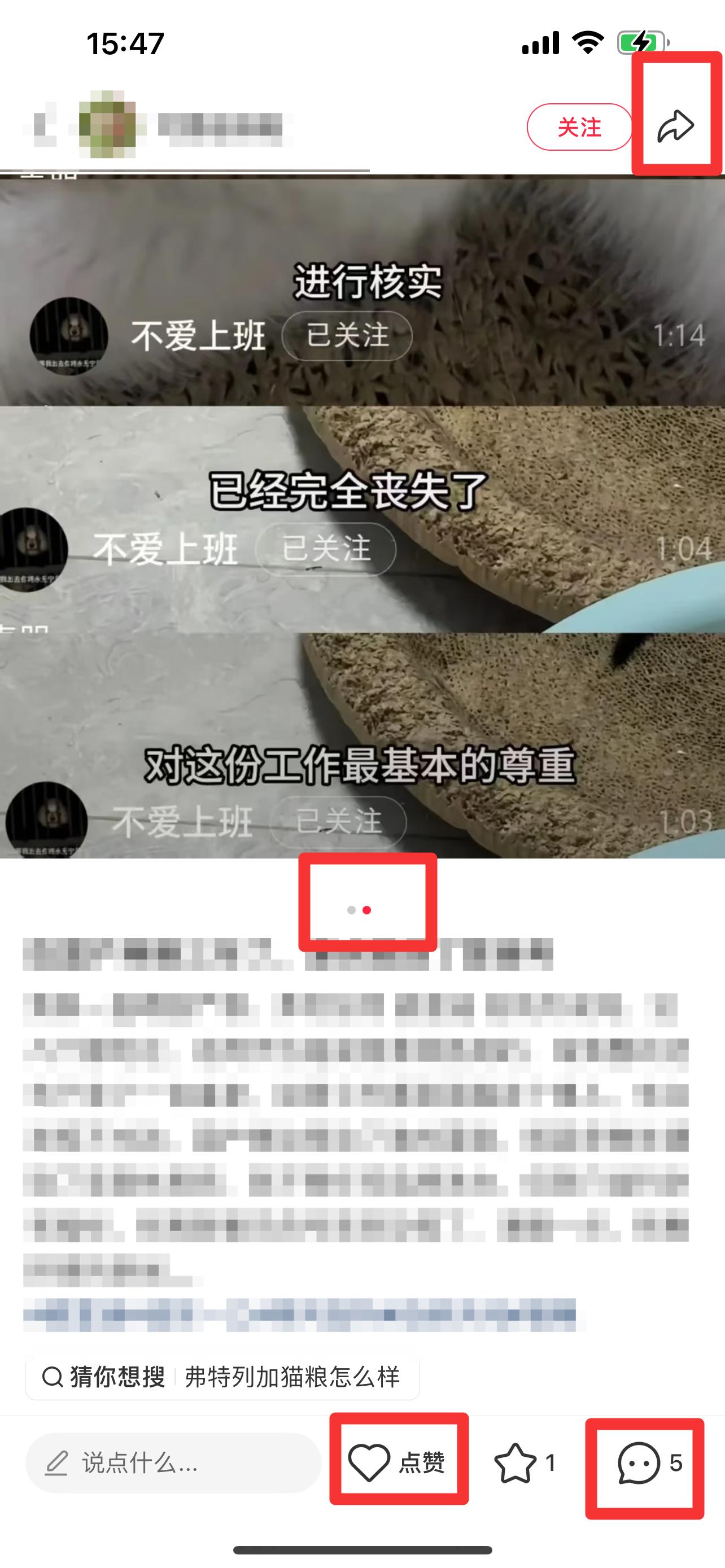 小红书 搜索 弗  弗列加特5 步骤图2