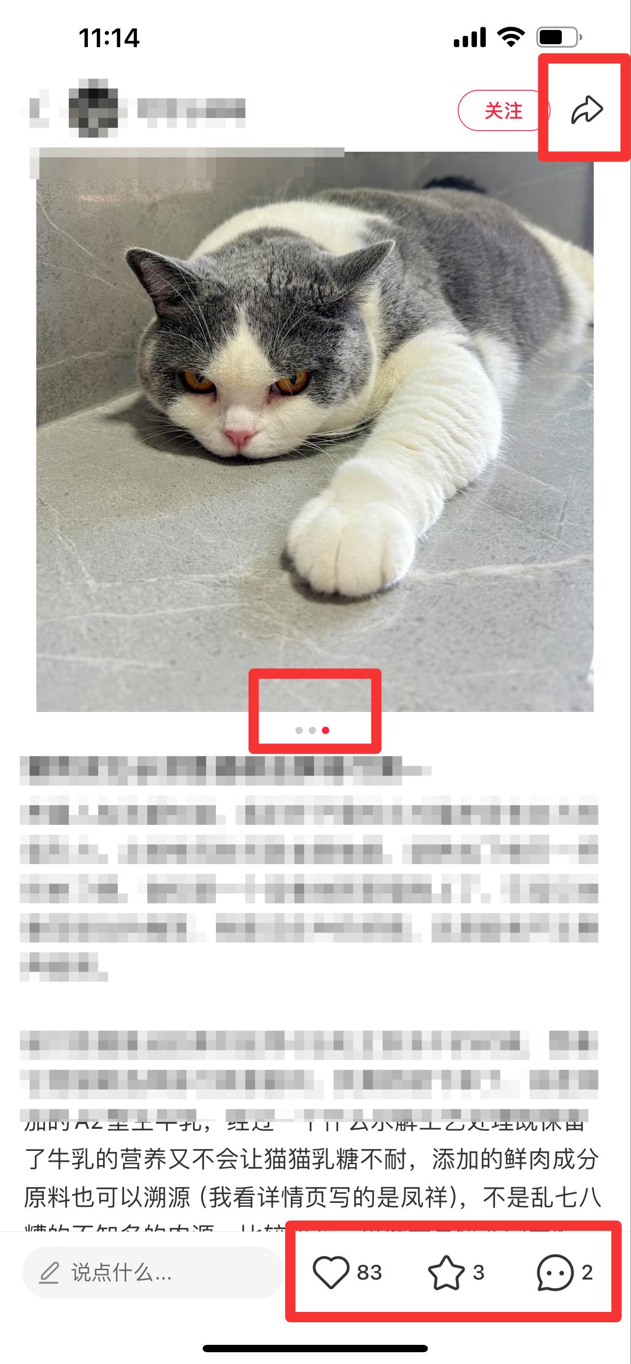 小红书 搜索 弗 猫粮品牌排行2 步骤图2