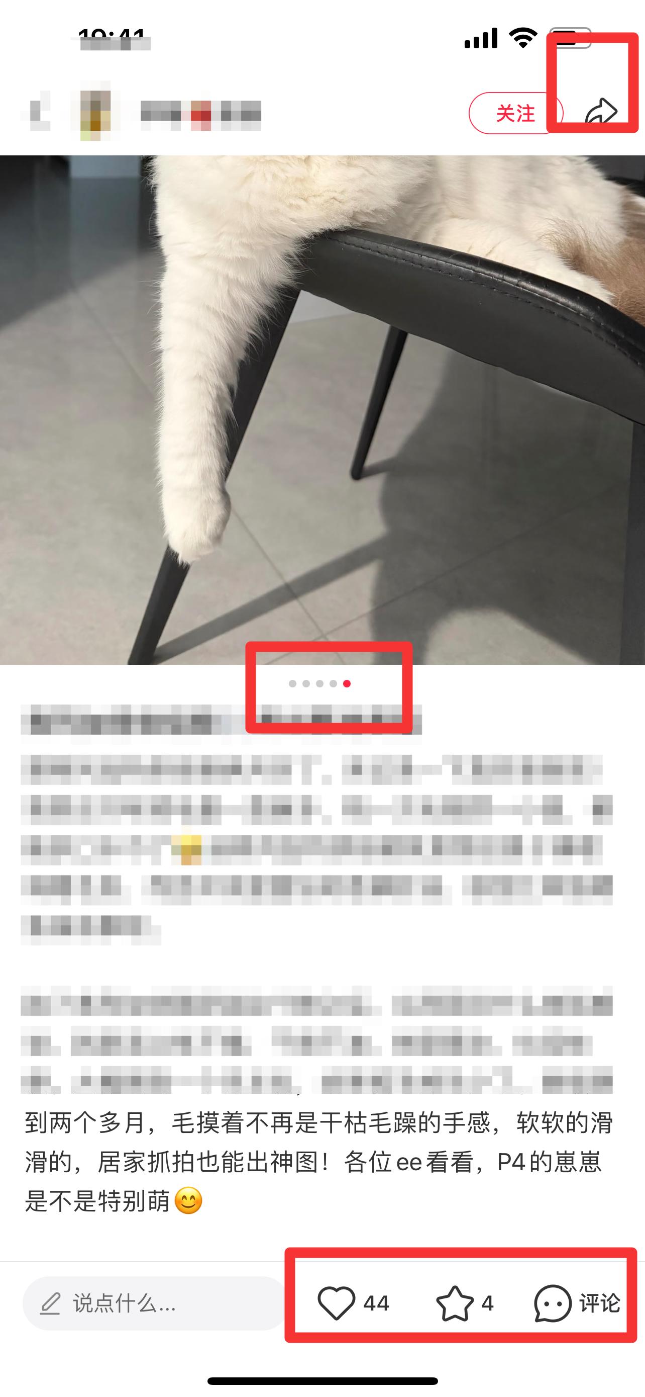 小红书 搜索 弗 弗列加特烘焙粮7 步骤图2