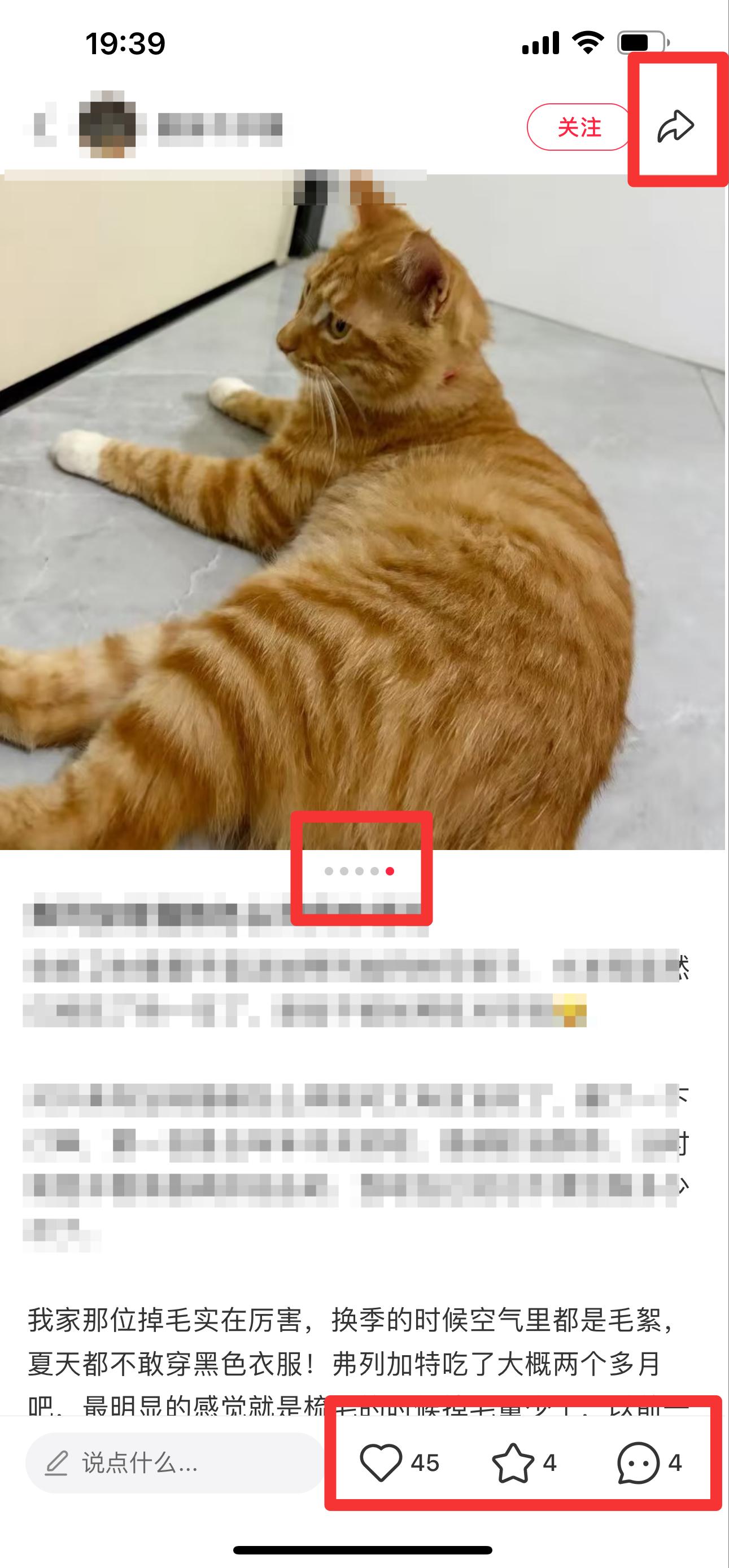 小红书 搜索 弗   弗列加特猫粮怎么样7 步骤图2