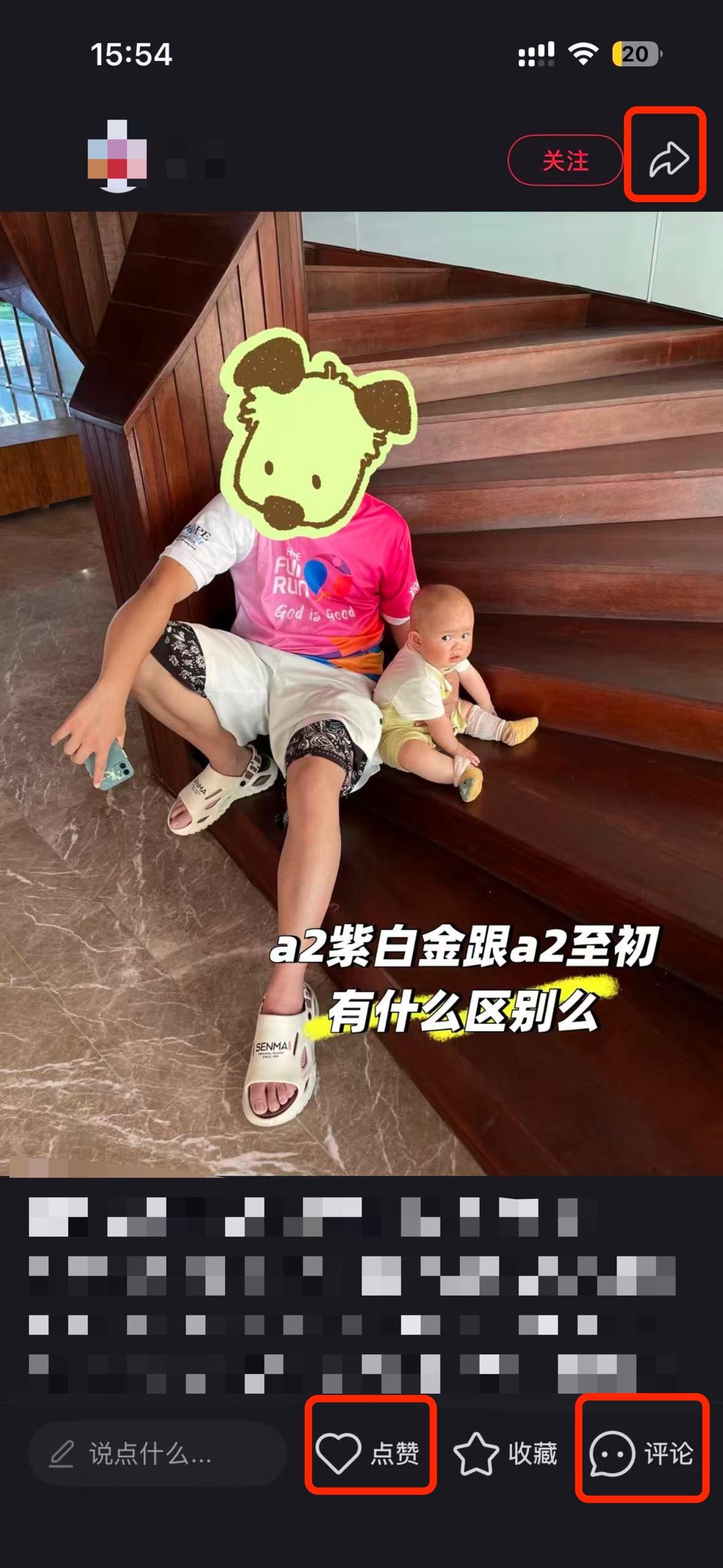 小红书 搜索 a2初 a2紫白金跟a2至初有什么区别吗3 步骤图2
