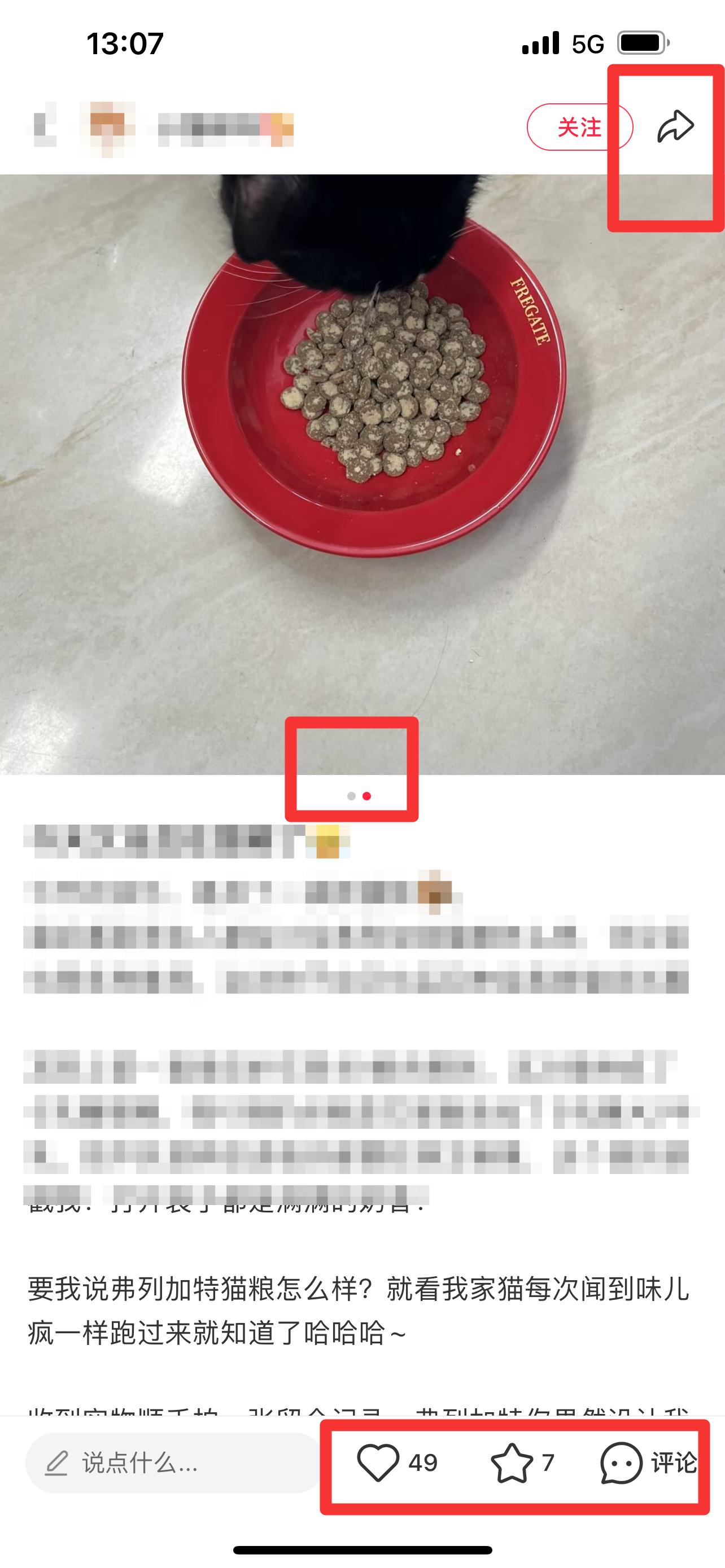 小红书 搜索 弗   弗列加特猫粮怎么样8 步骤图2