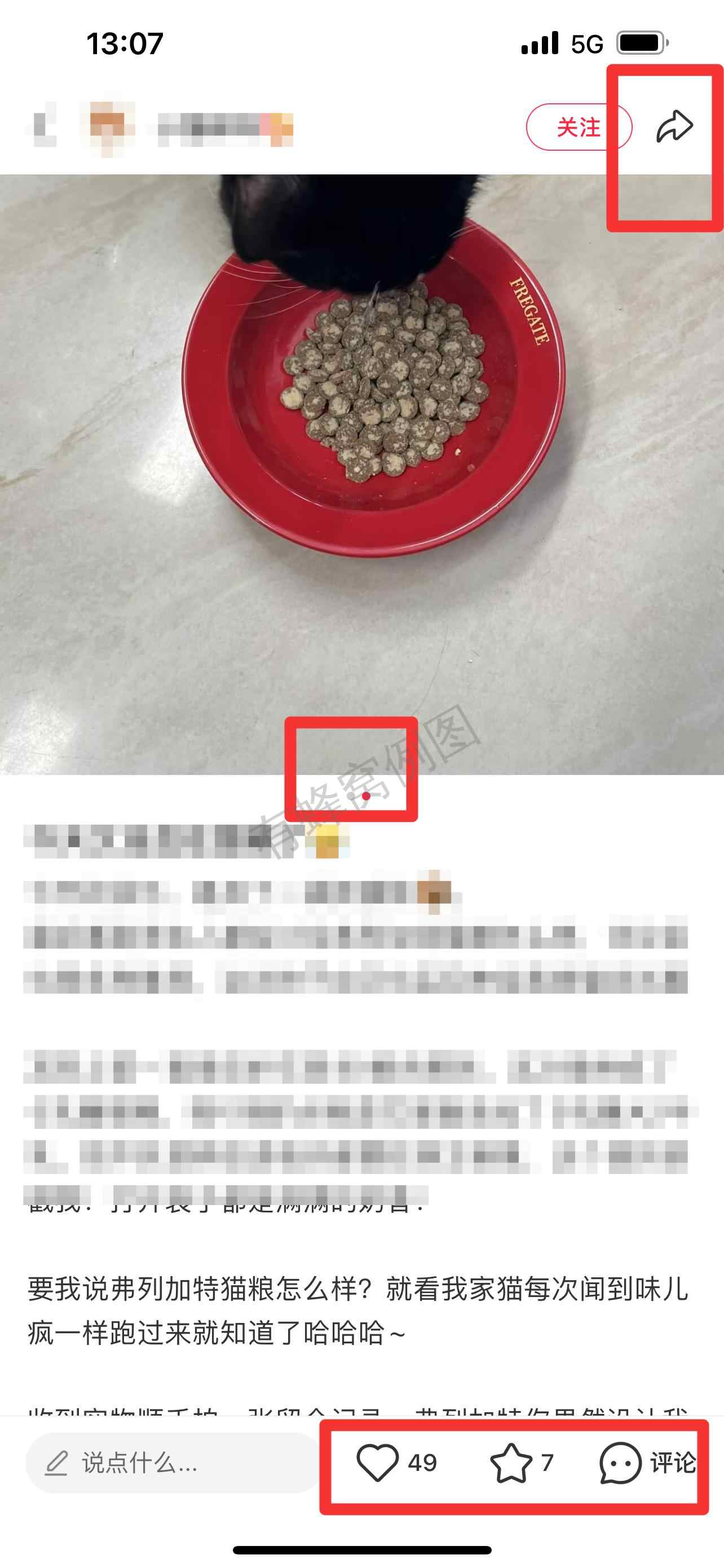 小红书 搜索 弗 弗列加特猫粮怎么样8 步骤图2