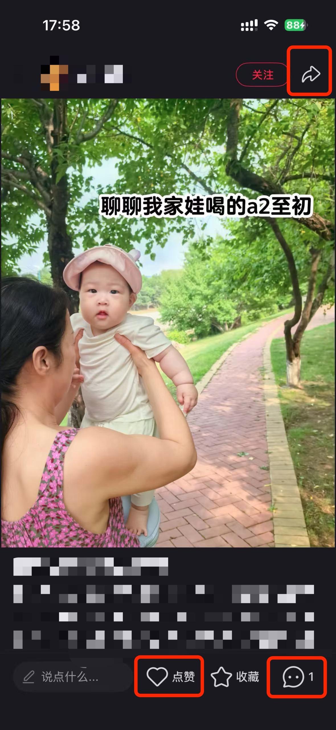 小红书 搜索 a2初 a2至初奶粉1 步骤图2