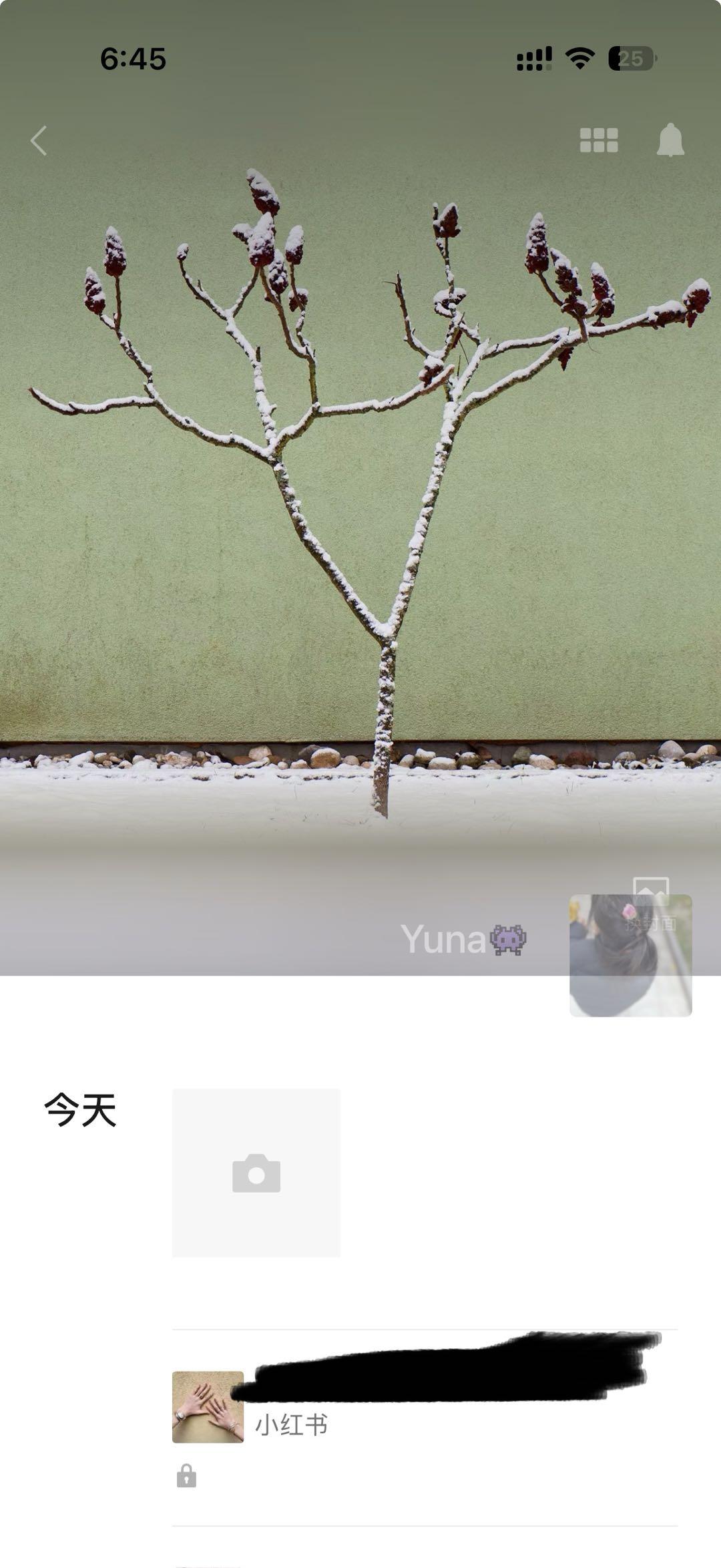 小红书 点赞 宝格丽-6.26--1 验收样图3