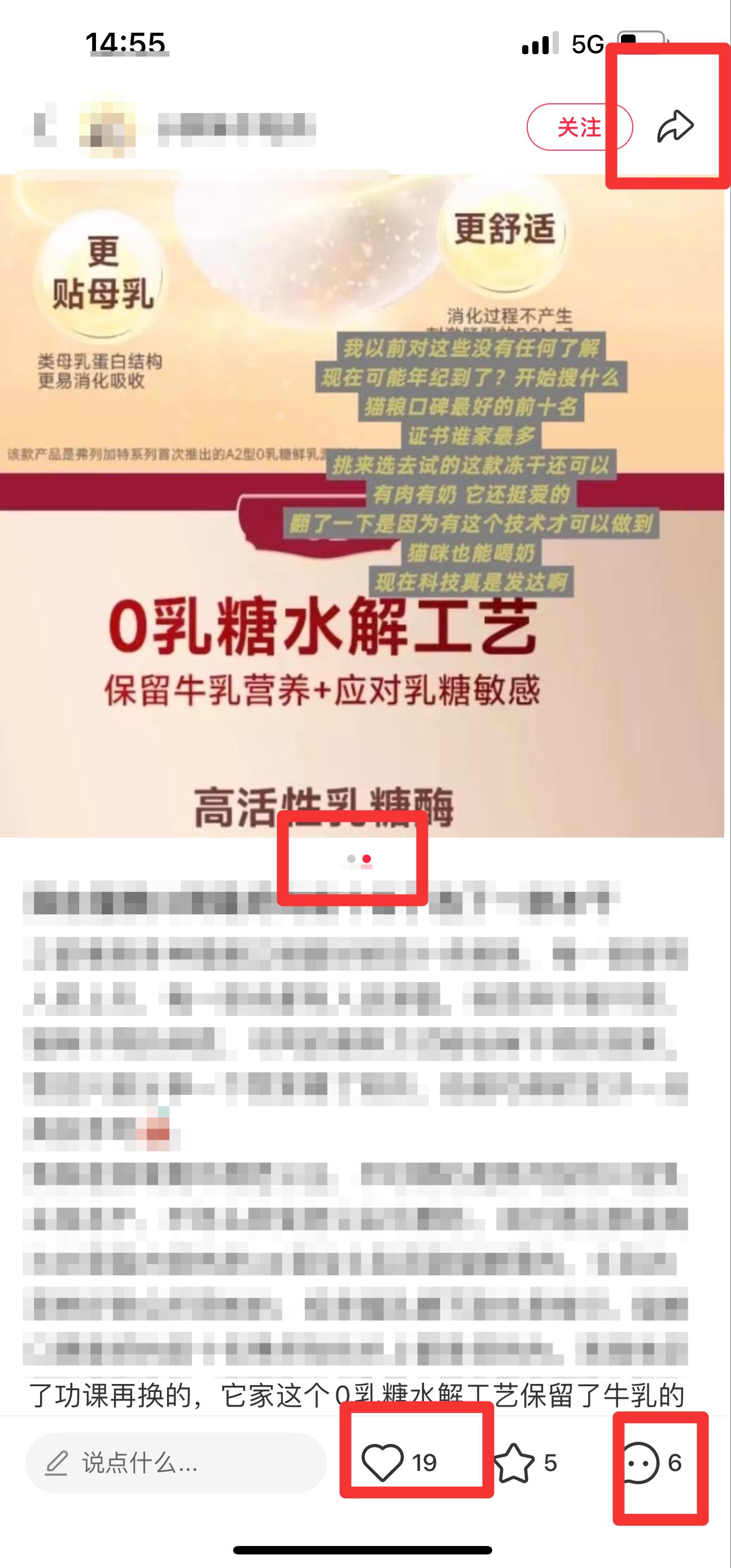 小红书 搜索 弗 猫粮口碑最好的前十名3 步骤图2