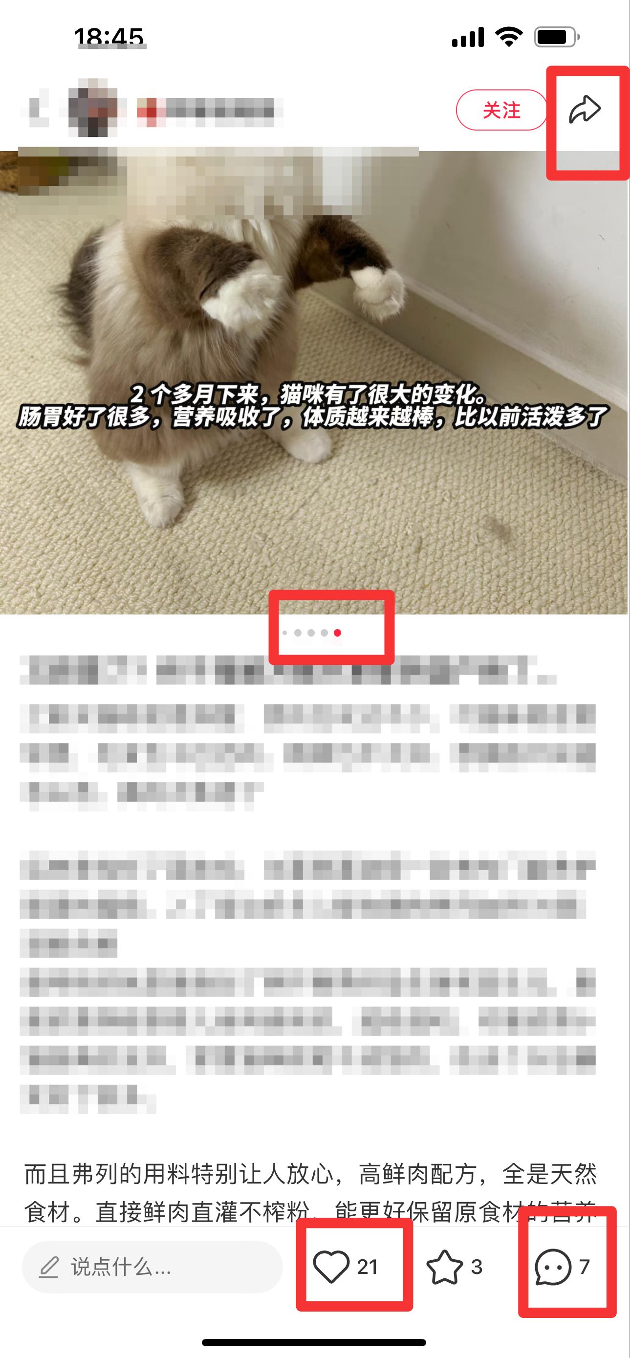 小红书 搜索 弗  猫粮口碑最好的前十名6 步骤图2