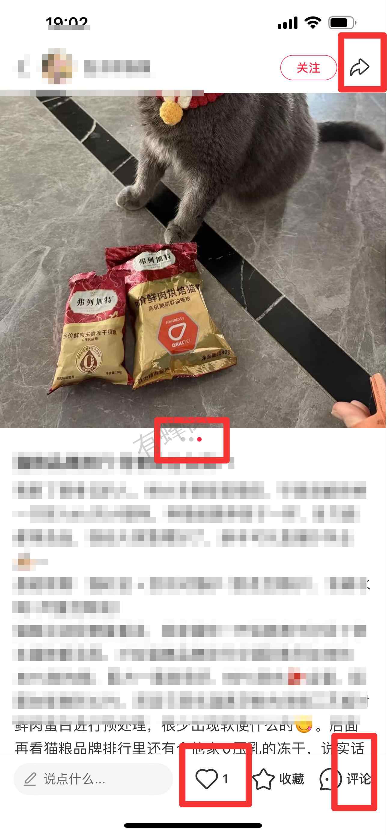 小红书 搜索 弗 猫粮品牌排行3 步骤图2