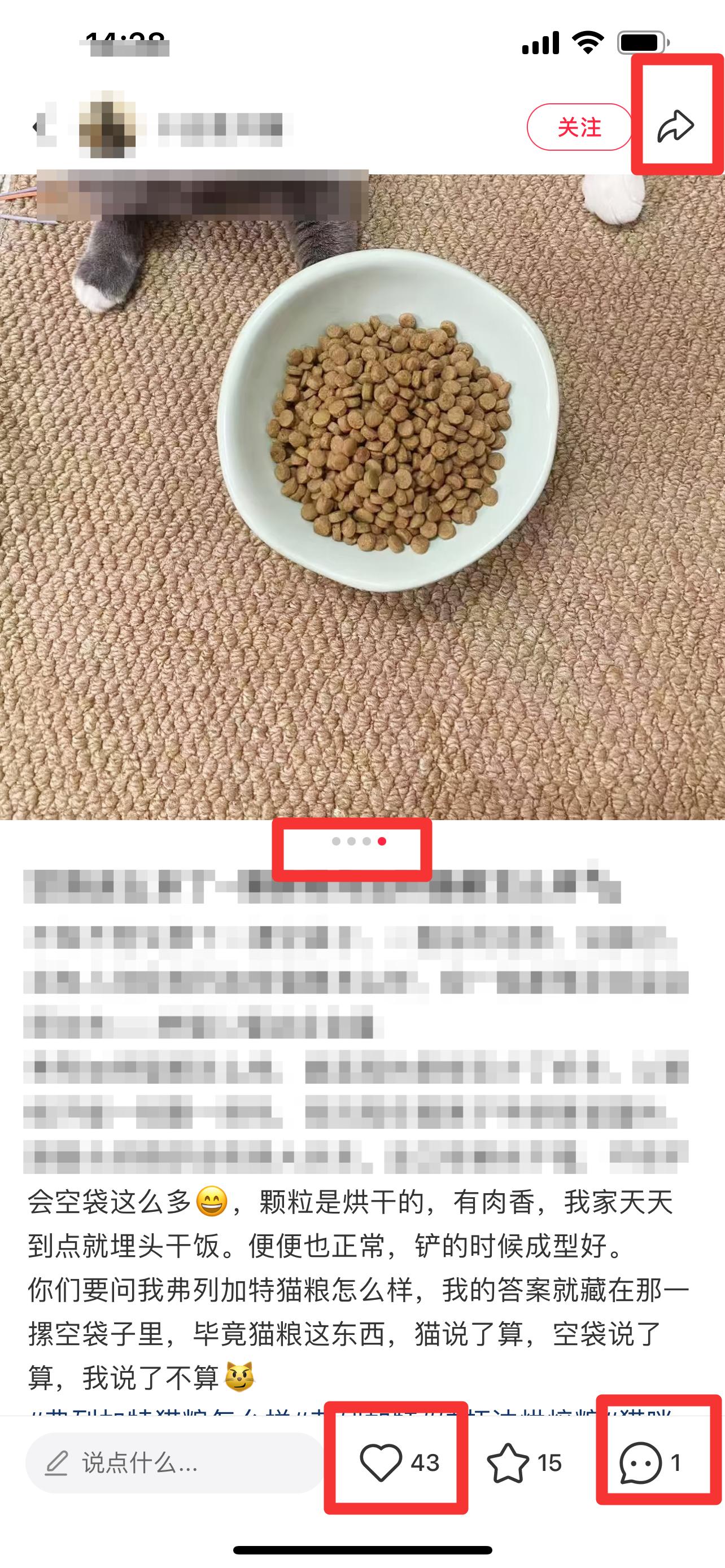 小红书 搜索 弗 弗列加特猫粮6 步骤图2