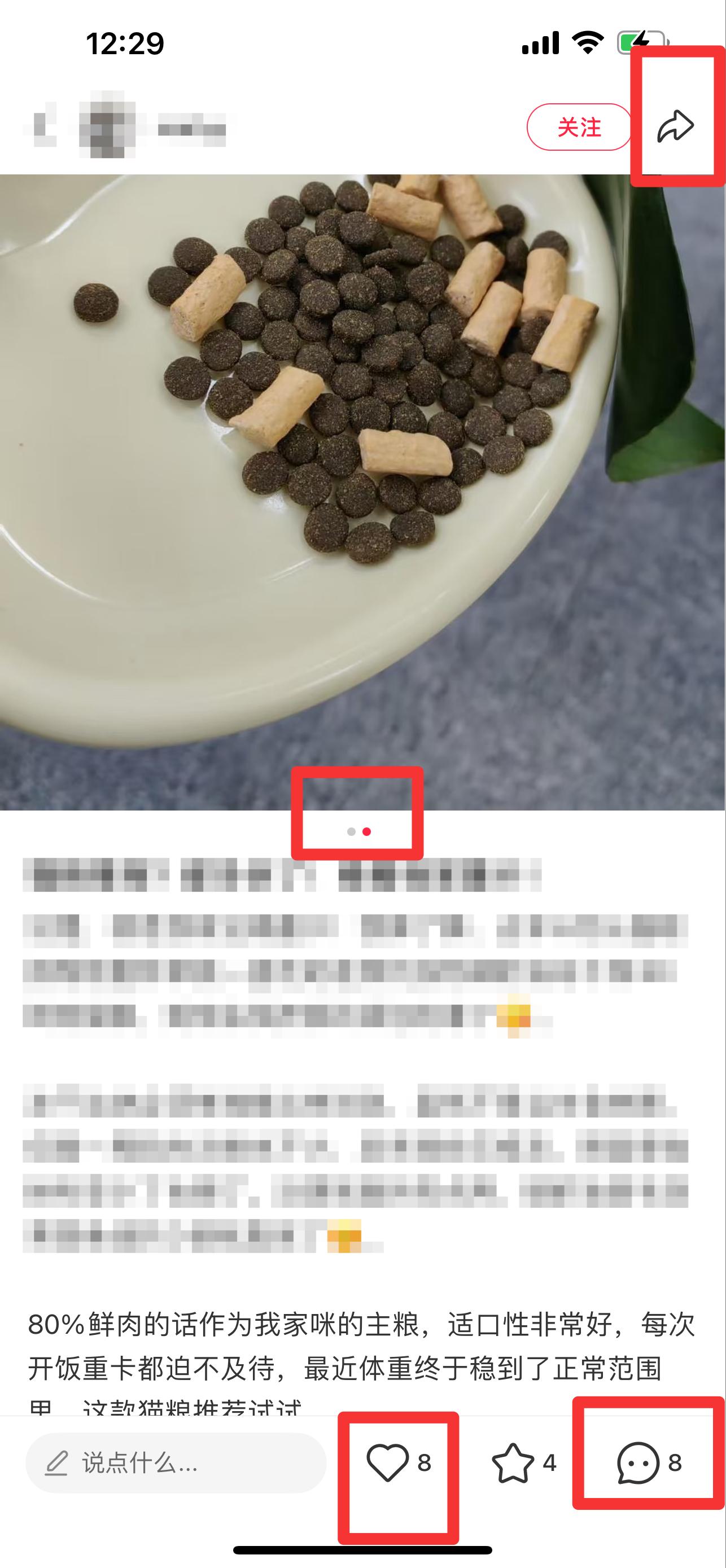 小红书 搜索 弗  猫粮推荐2 步骤图2